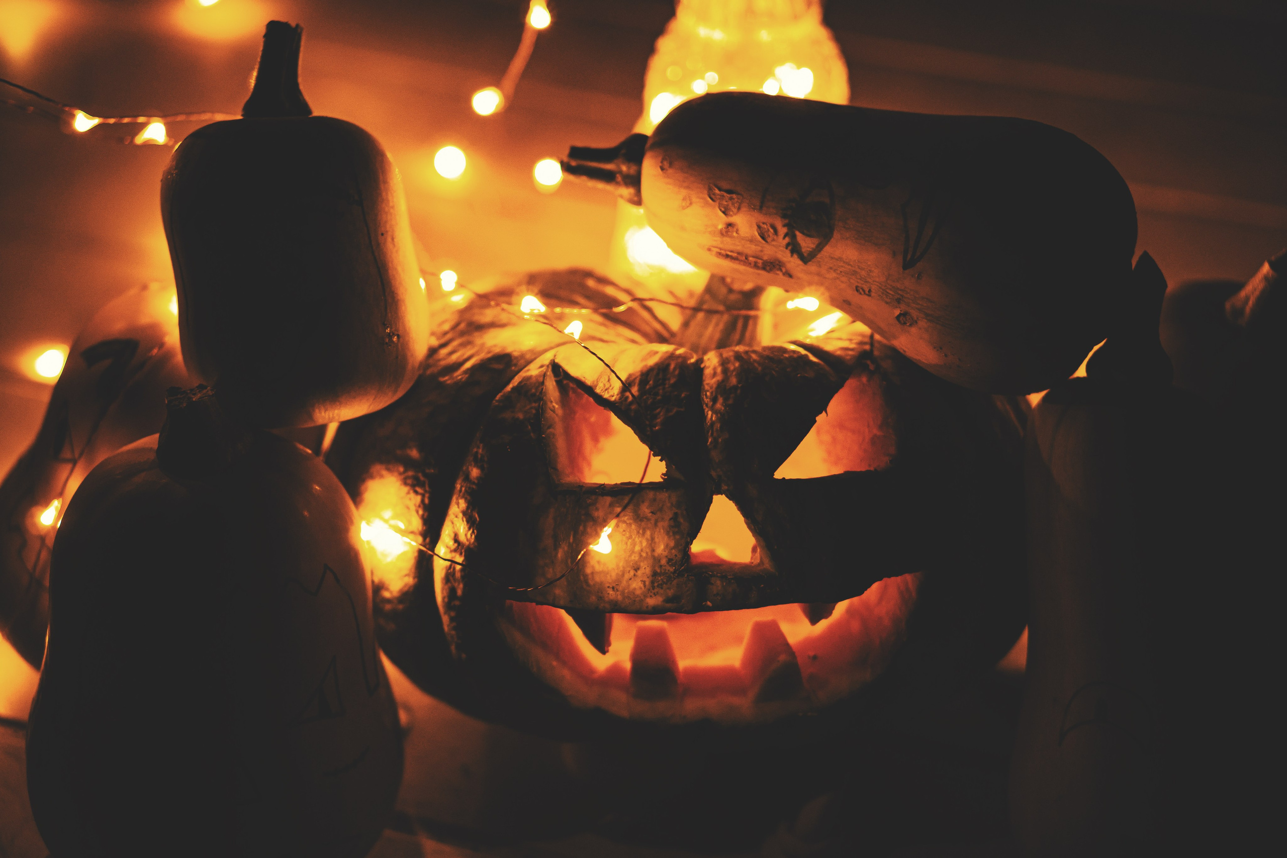 Bocetos. Alba del Norte Studio