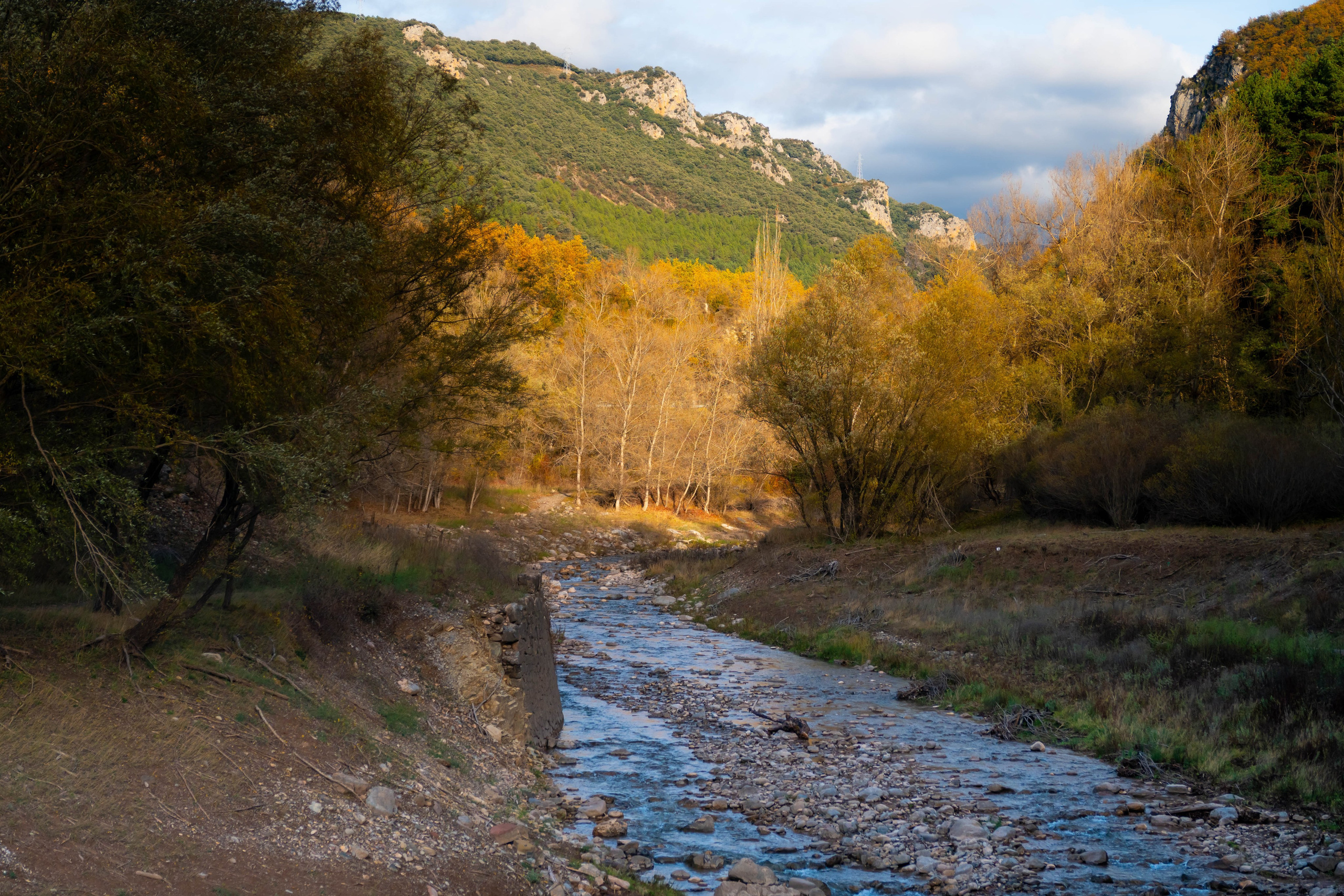 Ruta Otoño. Alba del Norte Studio
