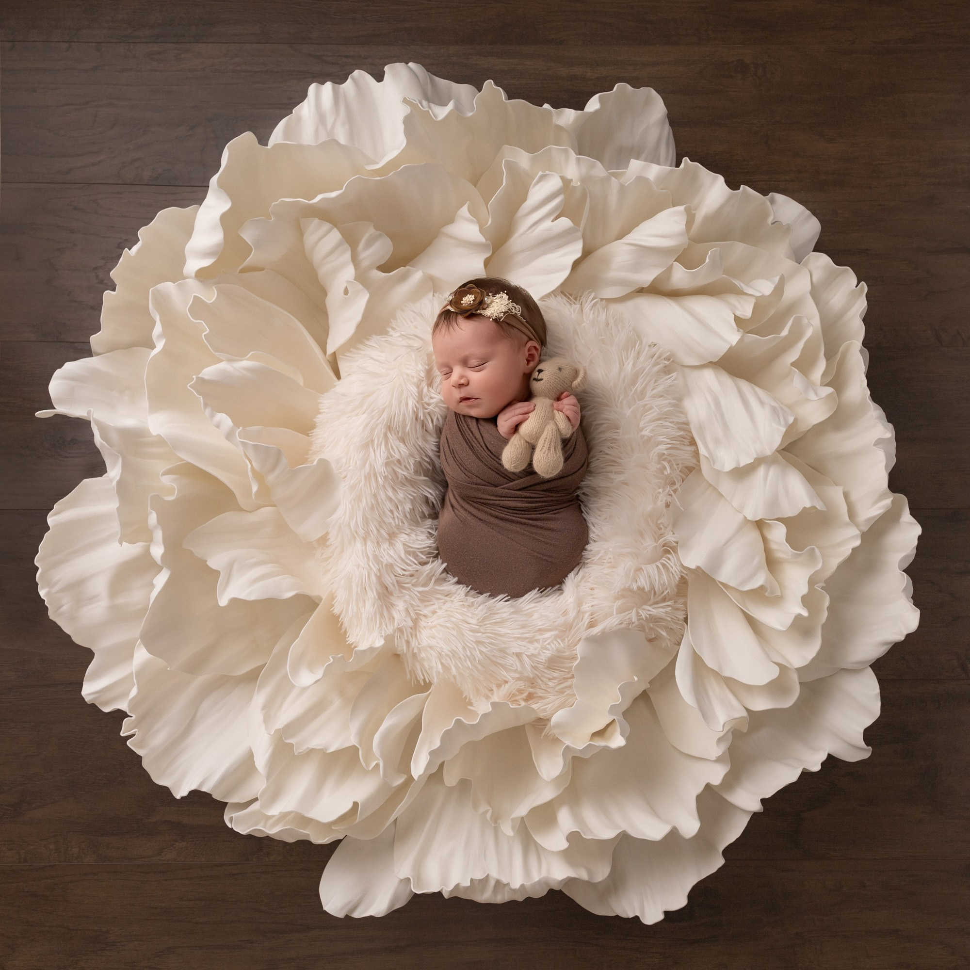 Newborn photos. Newborn photographer in Tampa Bay Area, FL