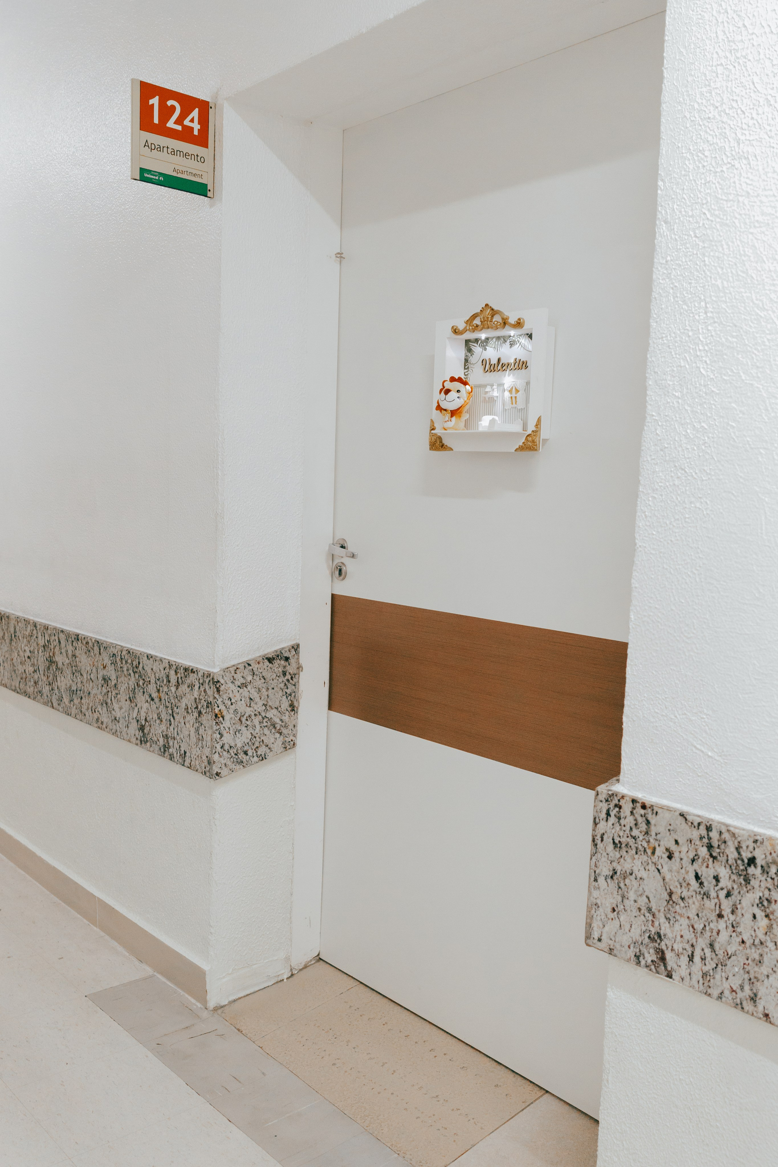 Nascimento de Vicente