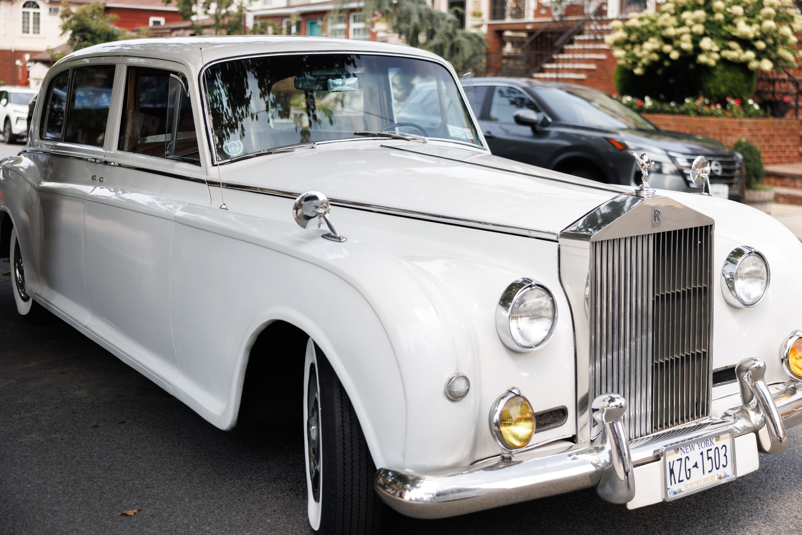 Alessia & Forrest. Wedding Photo & Video