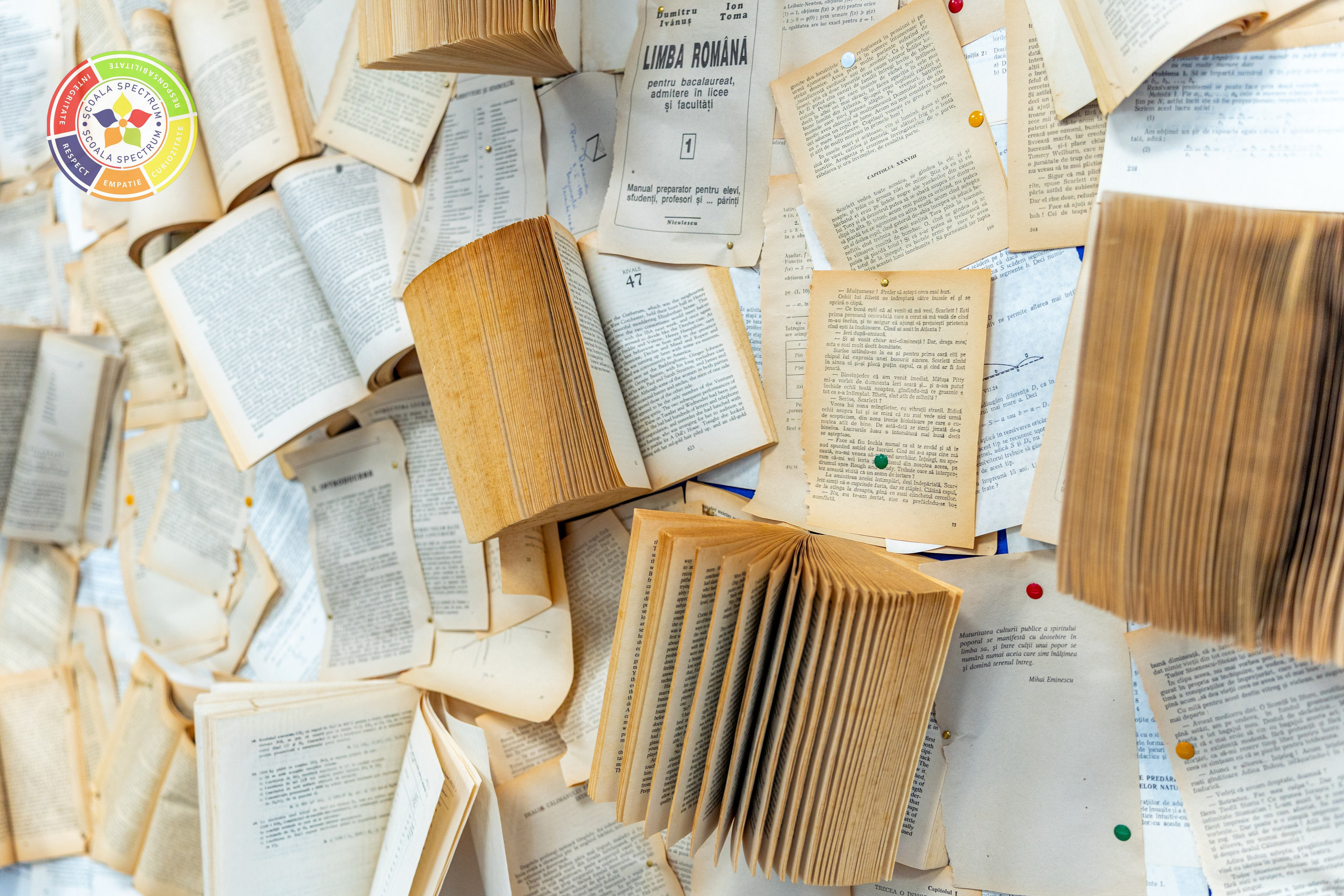 Scoala Gimnaziala Spectrum Constanta. Adelinne