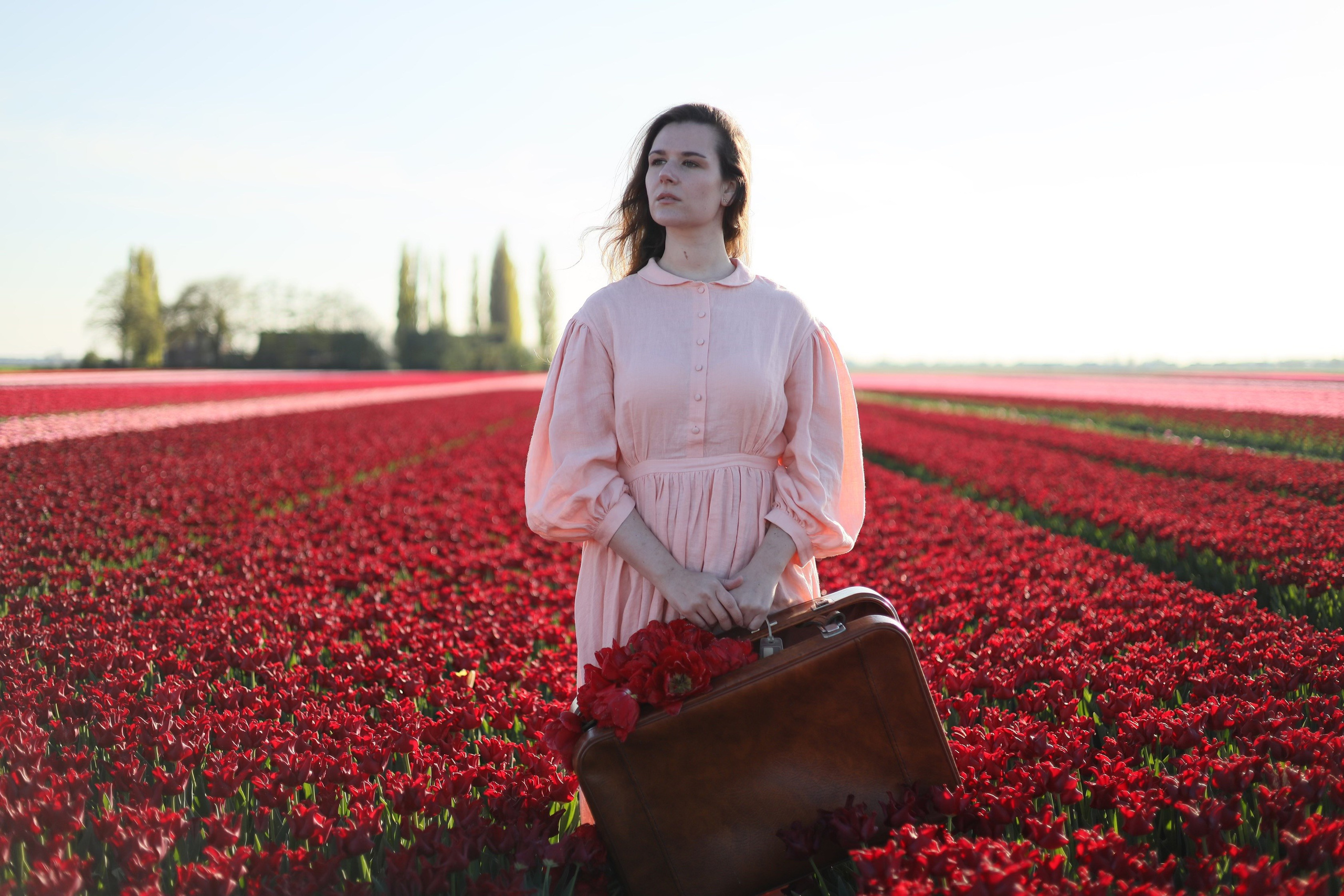 Tulip fields. Oxana Kirikidi Photography