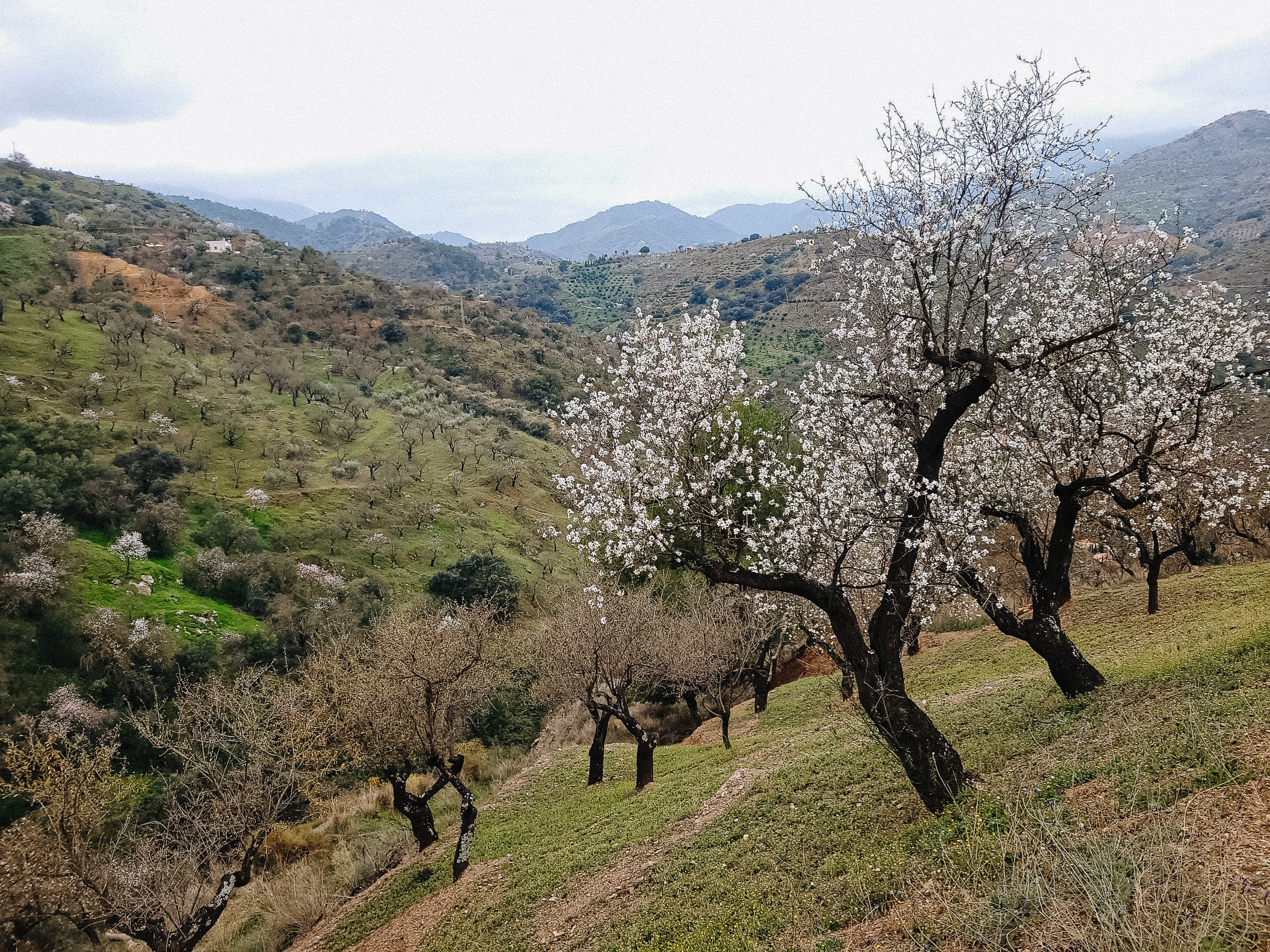 SPĀNIJA, MALAGAS APKĀRTNE