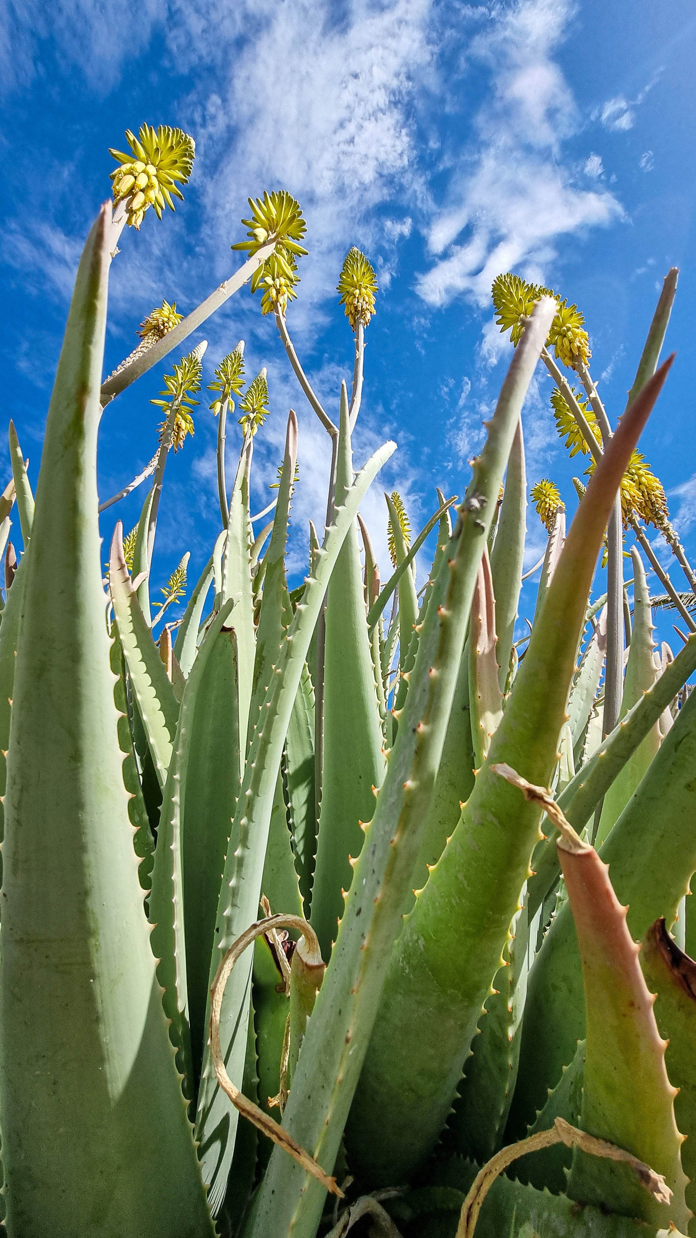 Gran Canaria 2024. Марина фотограф из Нюрнберга