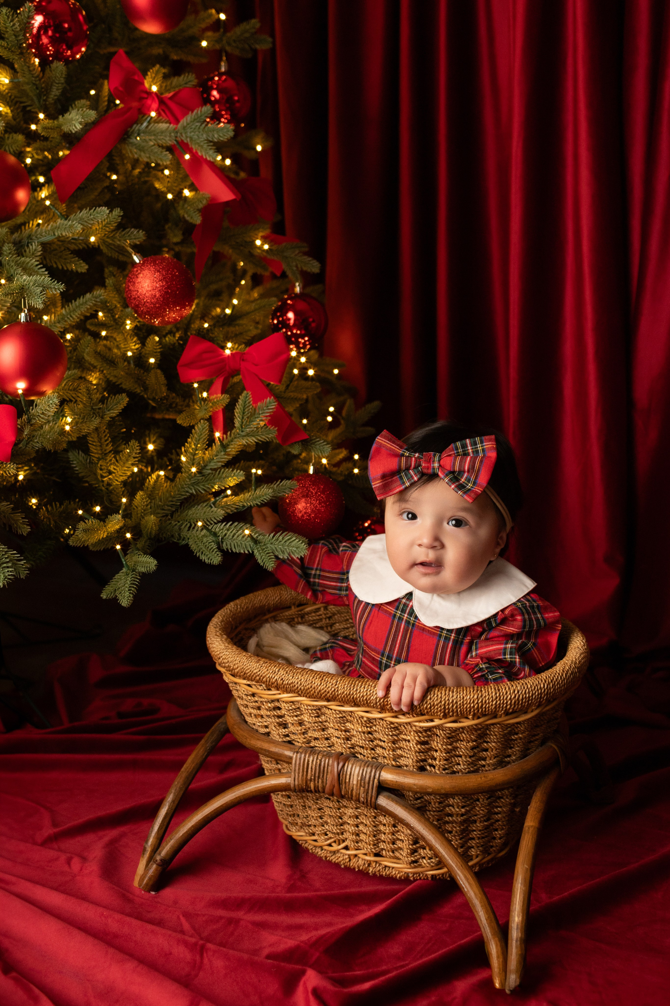 Holiday & Seasonal Minis. Mary Newborn Photo