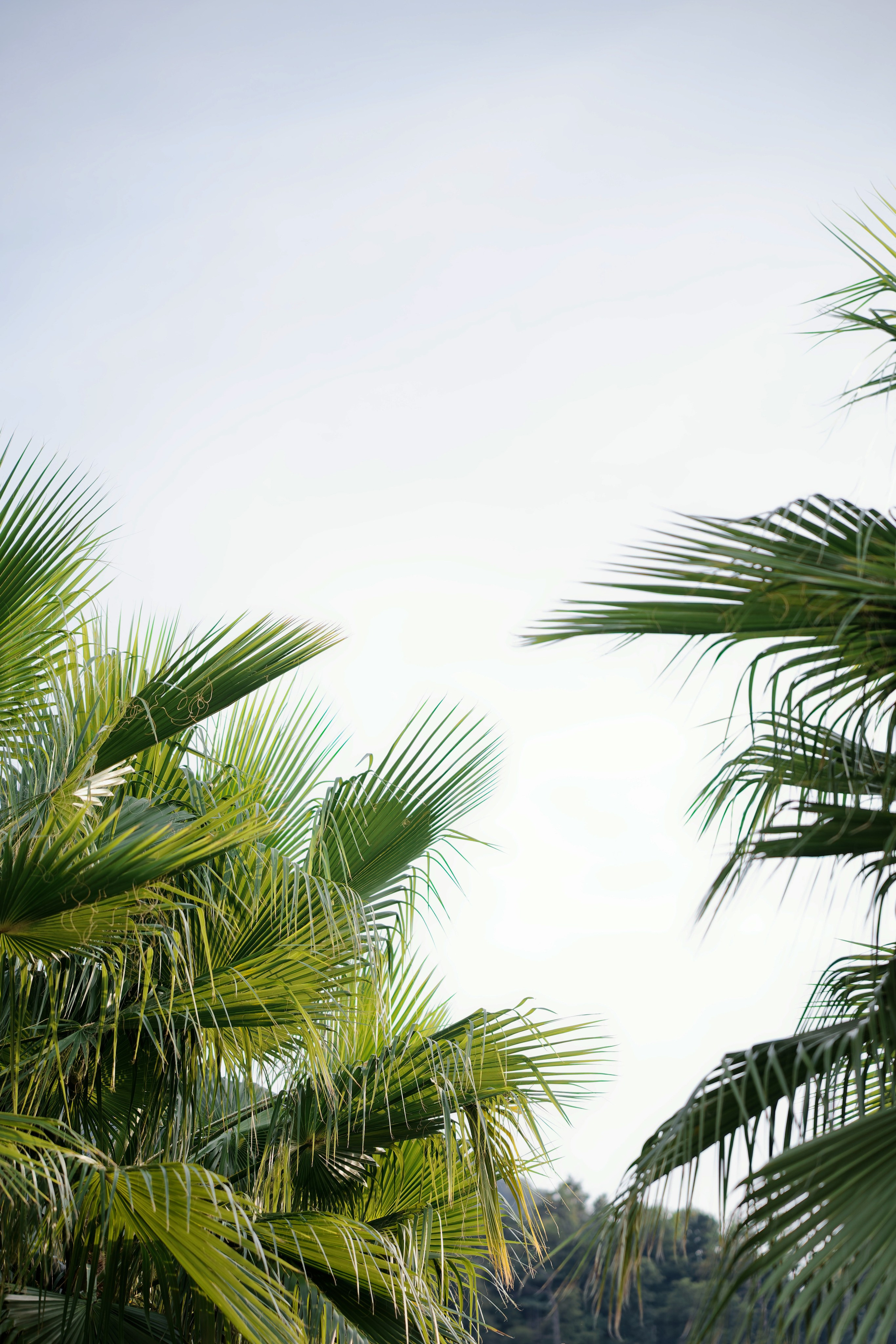 Wedding at Villa Carminati Resta on Lake Como