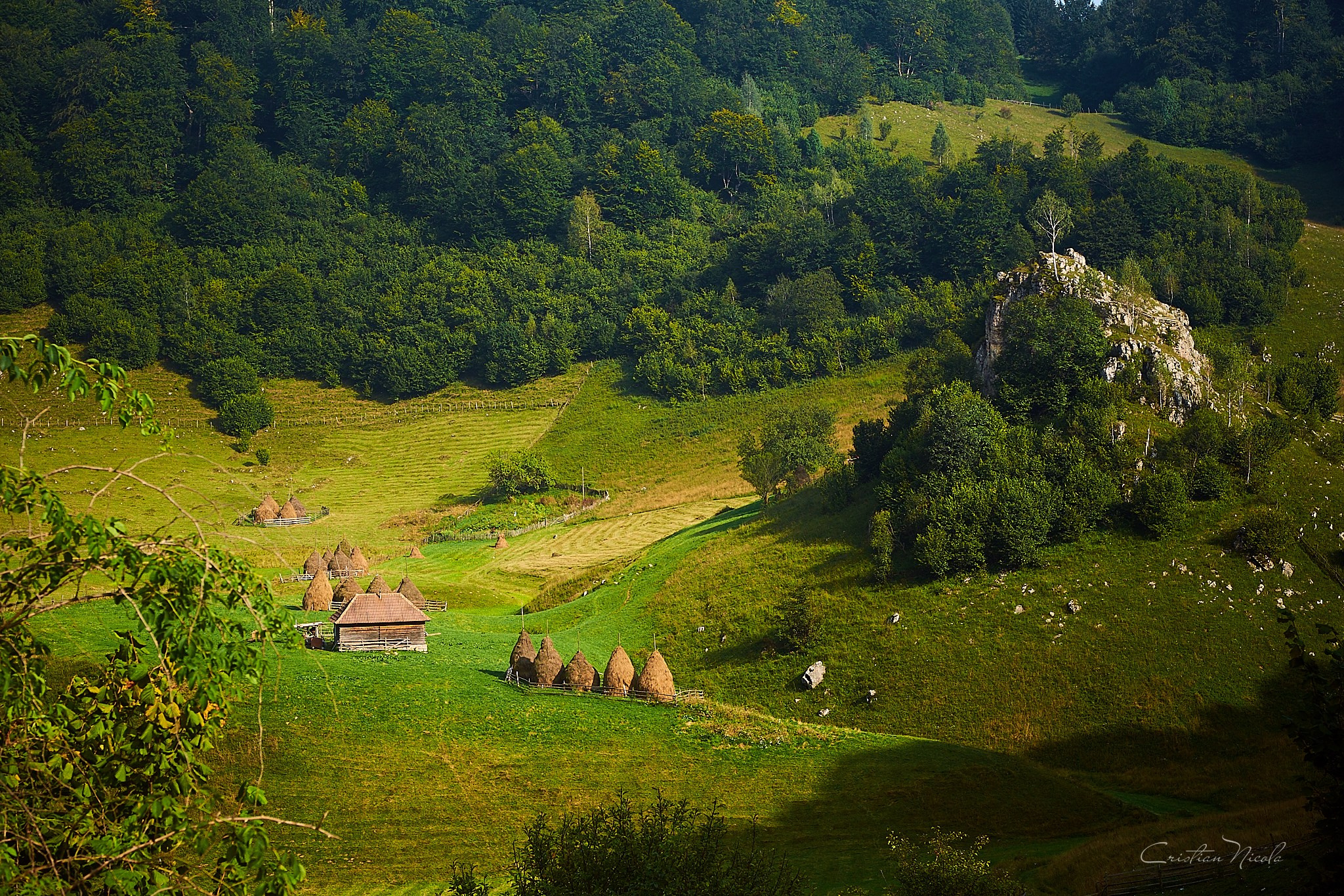 Fundătura Ponorului, jud. Humedoara. Pagina principală