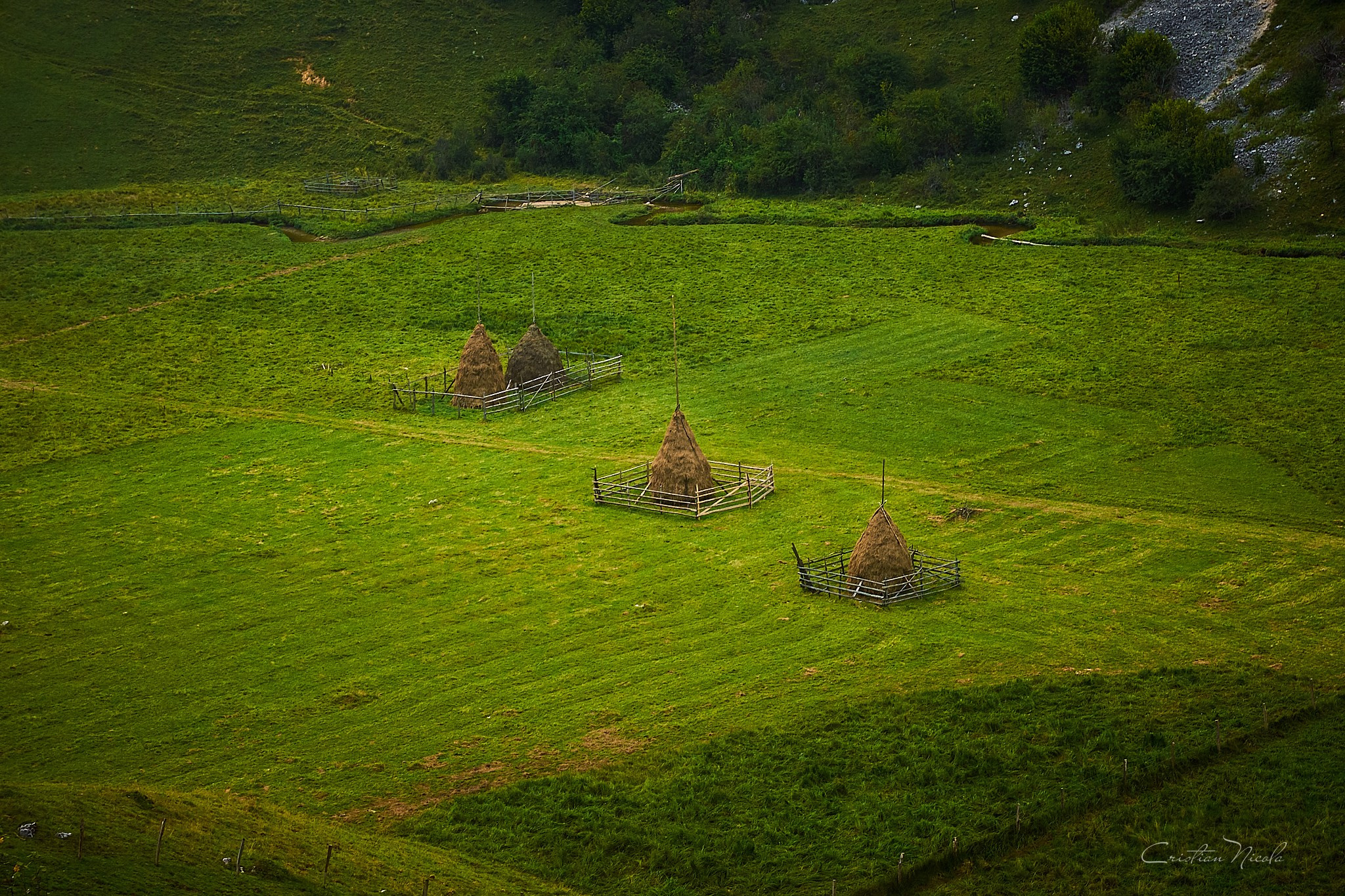 Fundătura Ponorului, jud. Humedoara. Pagina principală