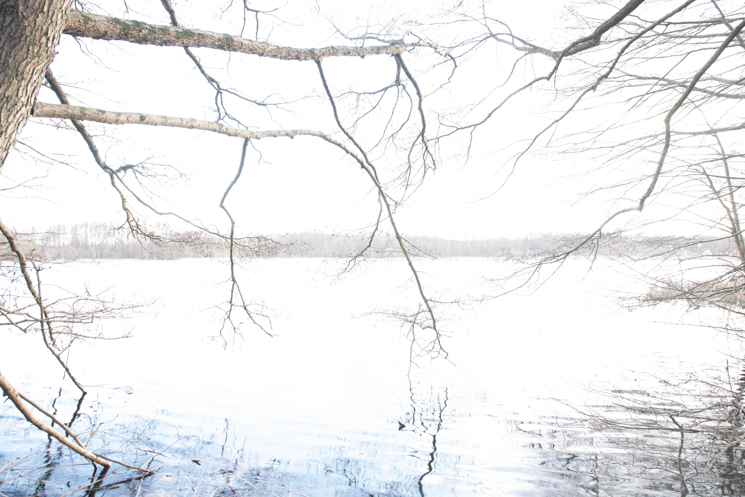 Across the Lake. Maria Bogachek Photography