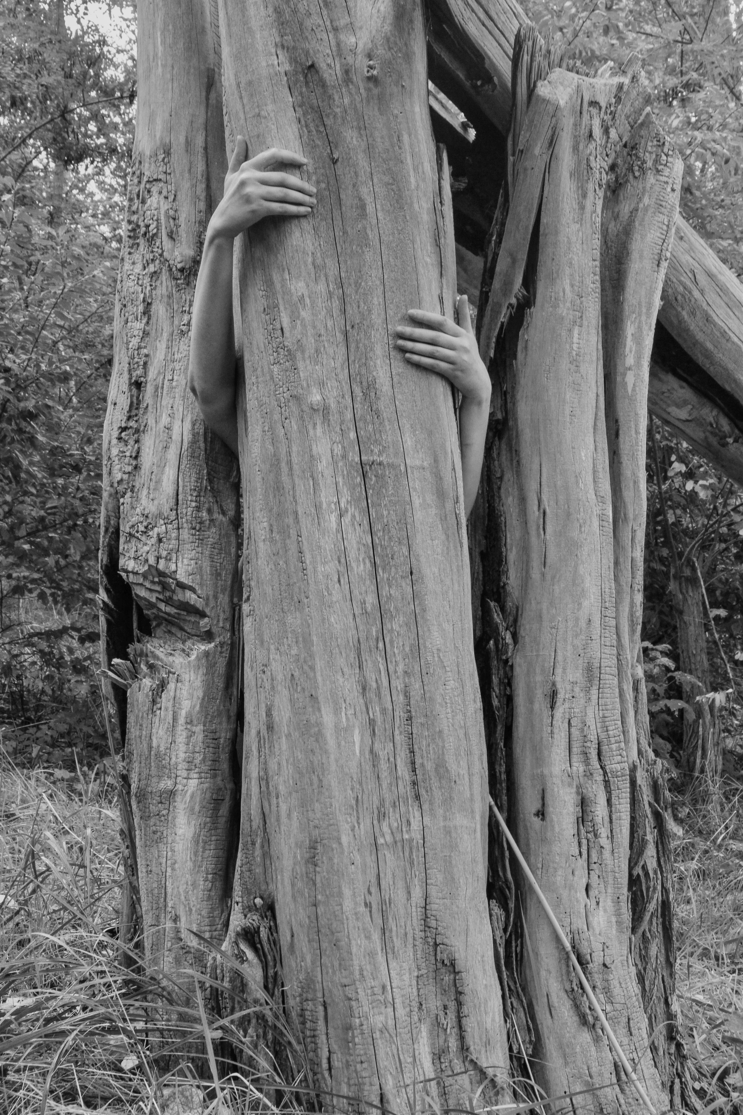 I am another tree. Maria Bogachek Photography