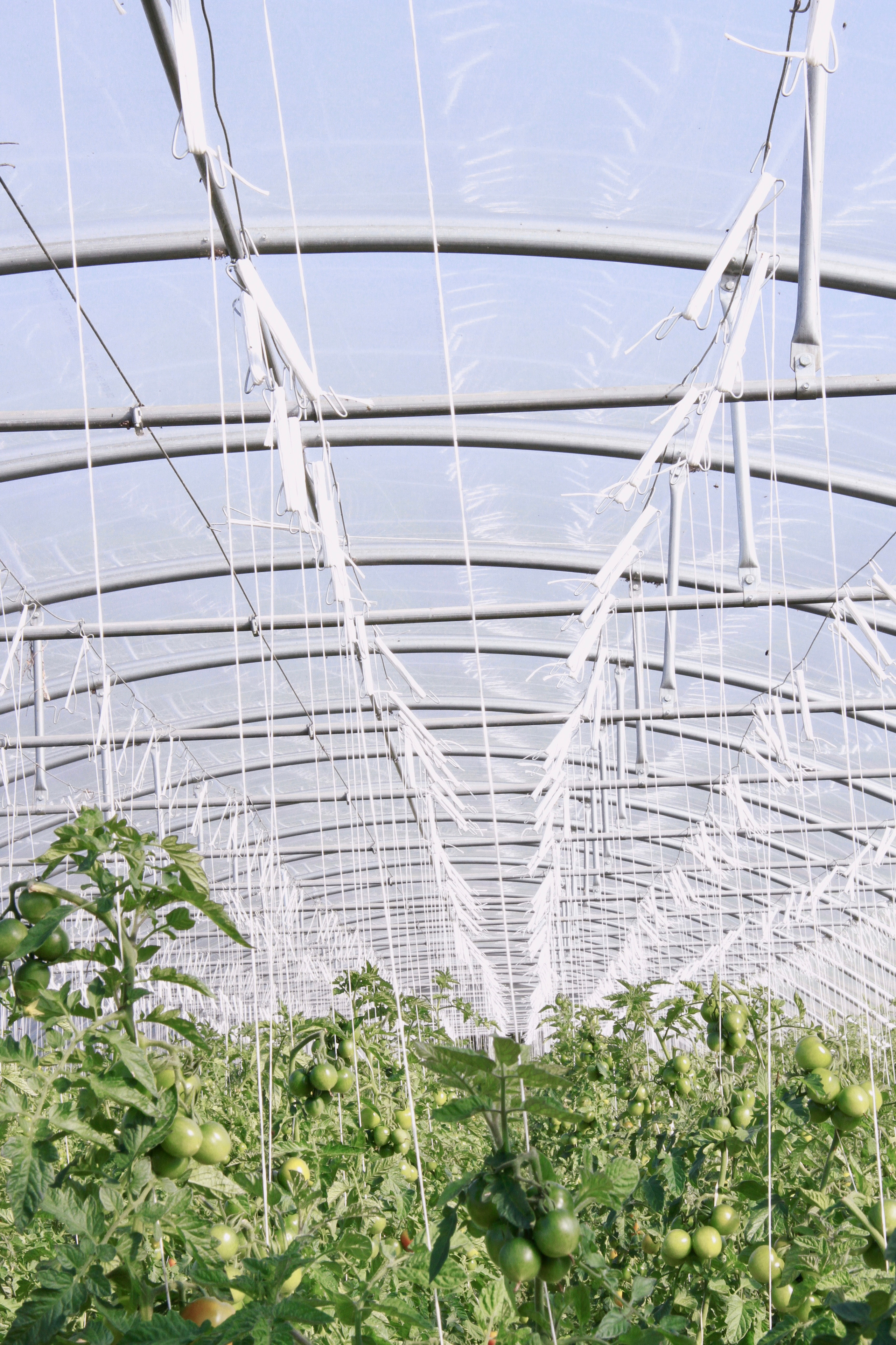 PlantAge biovegan farm for Exberliner magazine. Maria Bogachek Photography