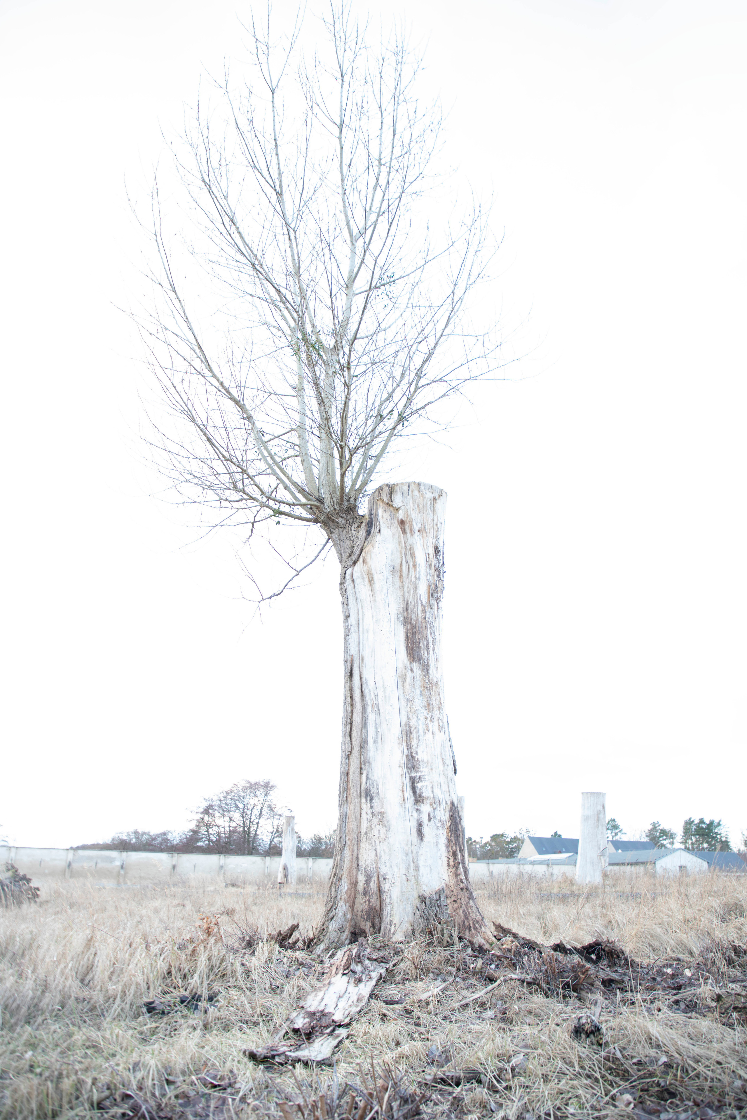 Across the Lake. Maria Bogachek Photography