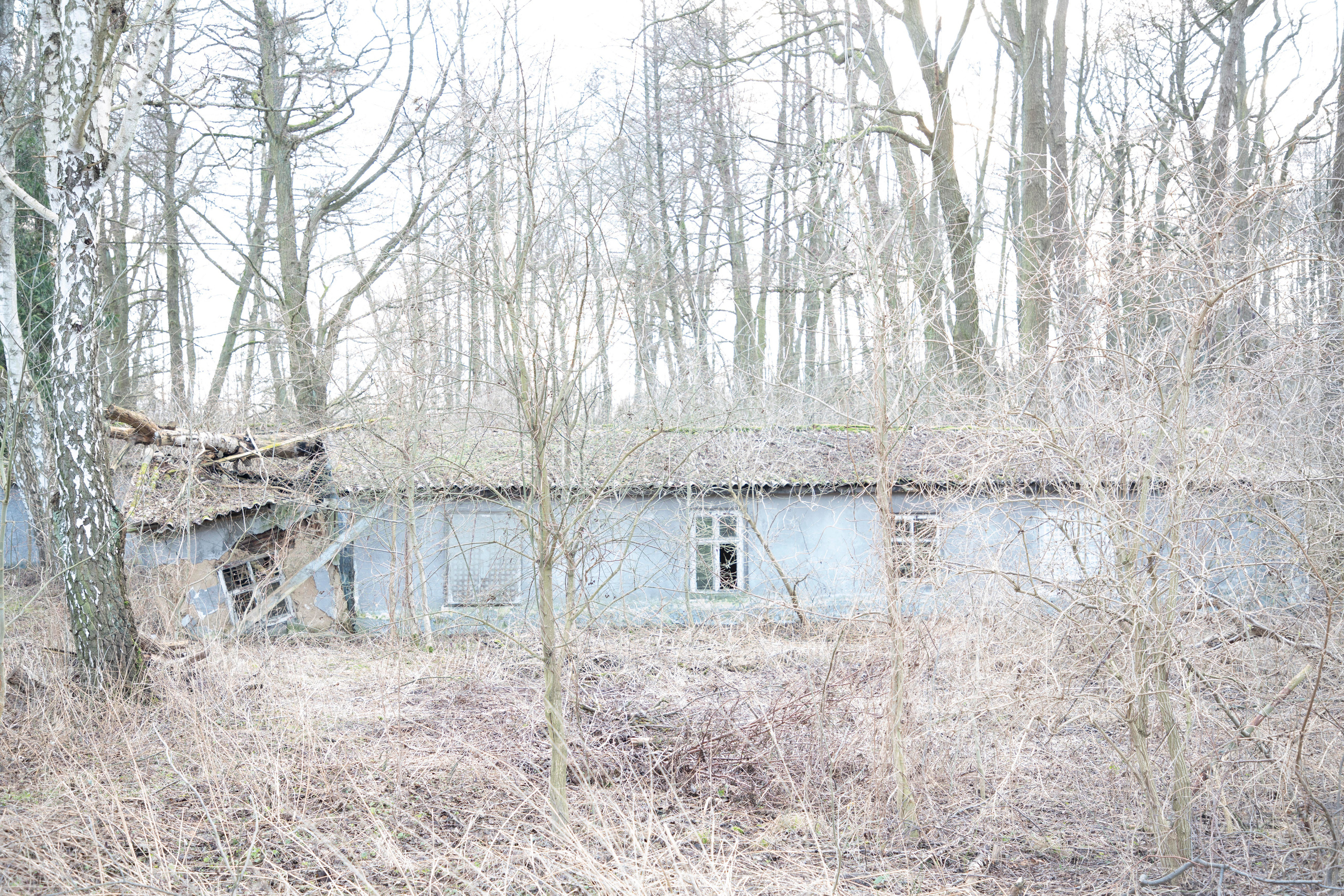 Across the Lake. Maria Bogachek Photography