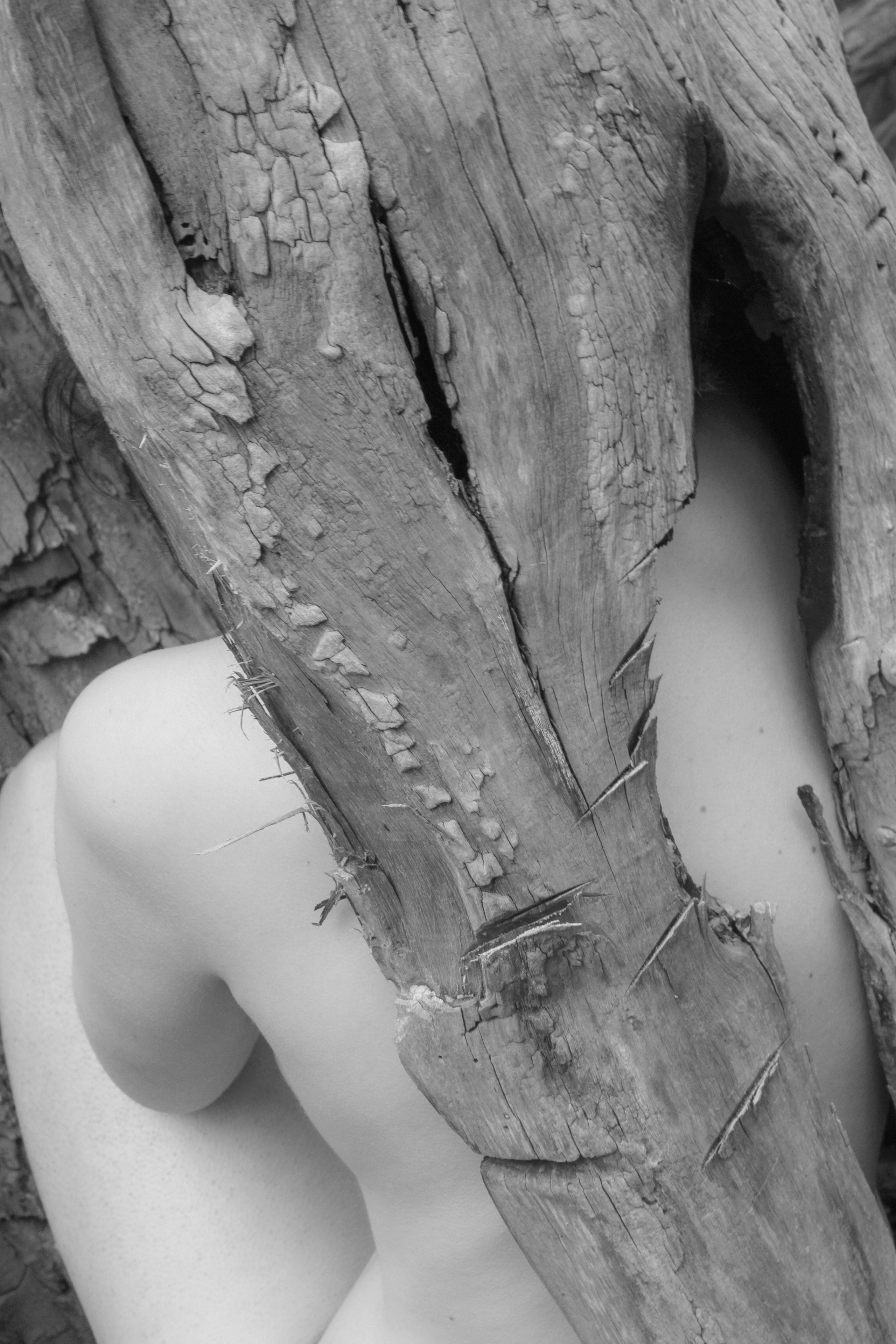 I am another tree. Maria Bogachek Photography