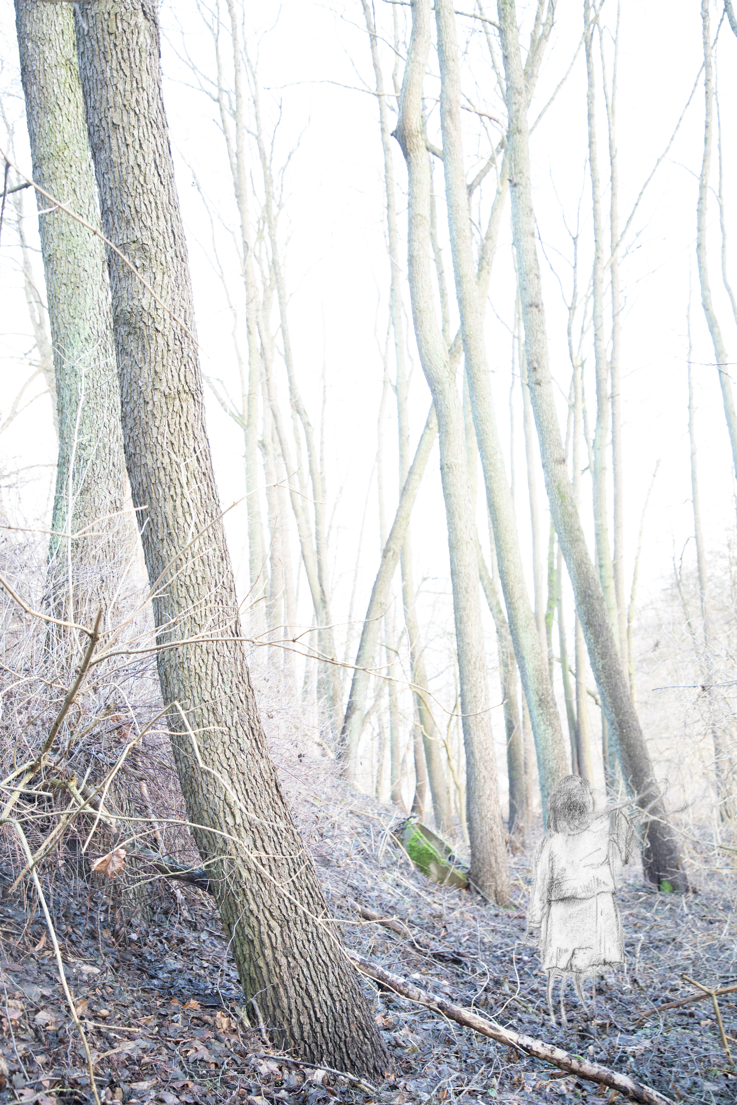 Across the Lake. Maria Bogachek Photography