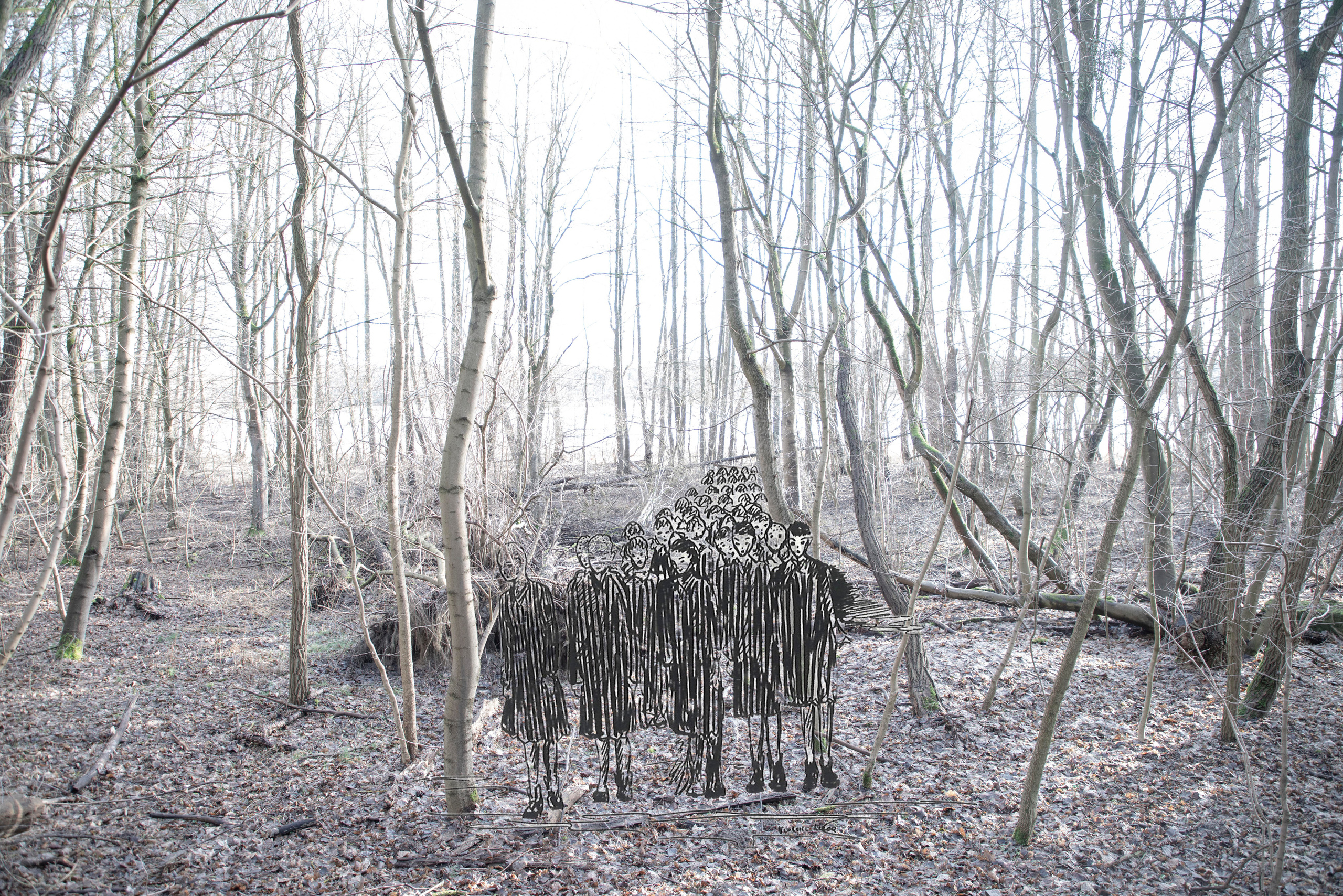 Across the Lake. Maria Bogachek Photography
