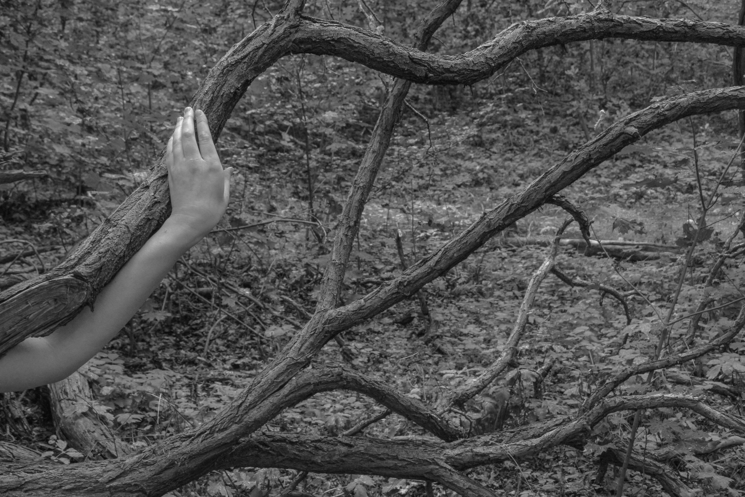 I am another tree. Maria Bogachek Photography