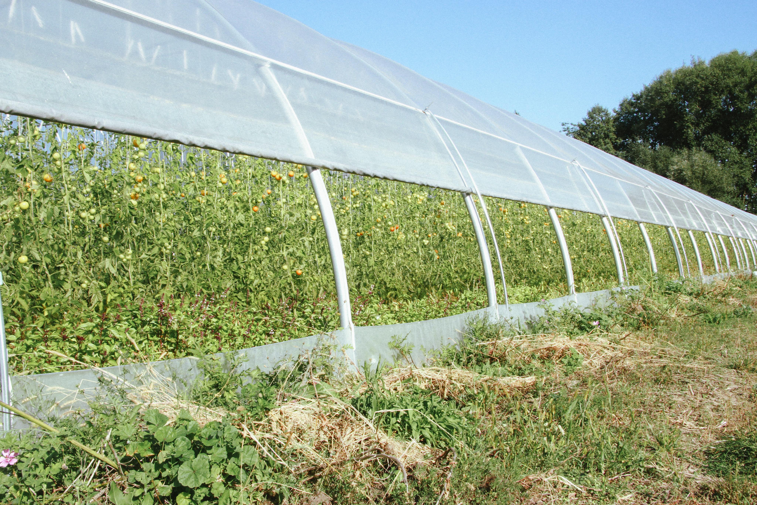 PlantAge biovegan farm for Exberliner magazine. Maria Bogachek Photography