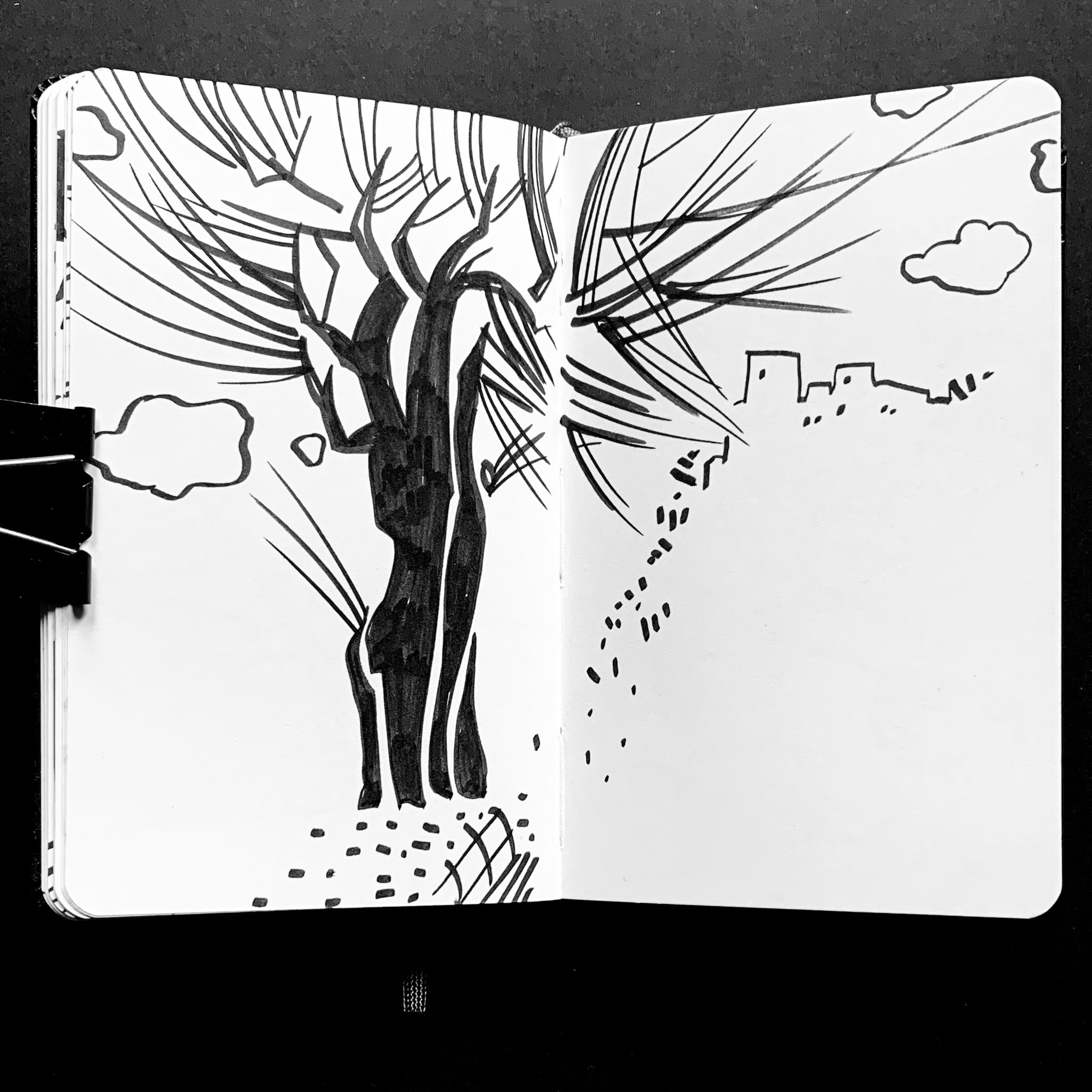 Liguria. Nadia Kuprina. Artist