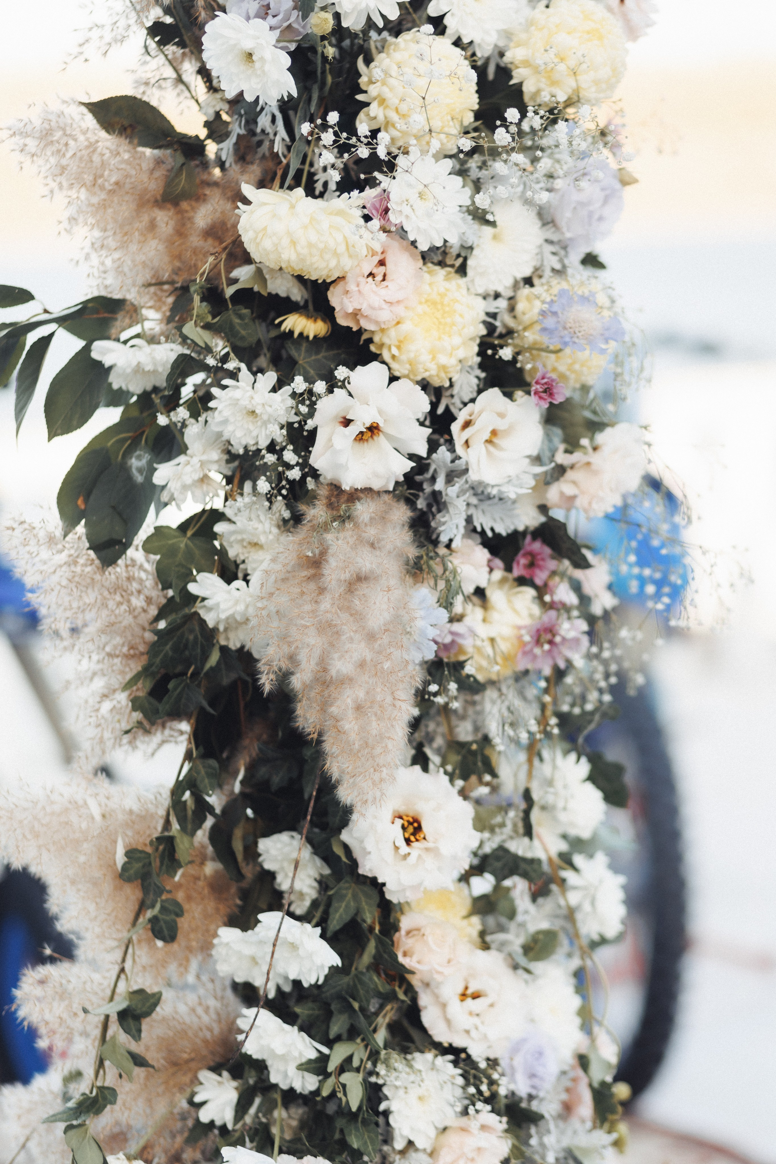 X & S. Fotograful evenimentului tău