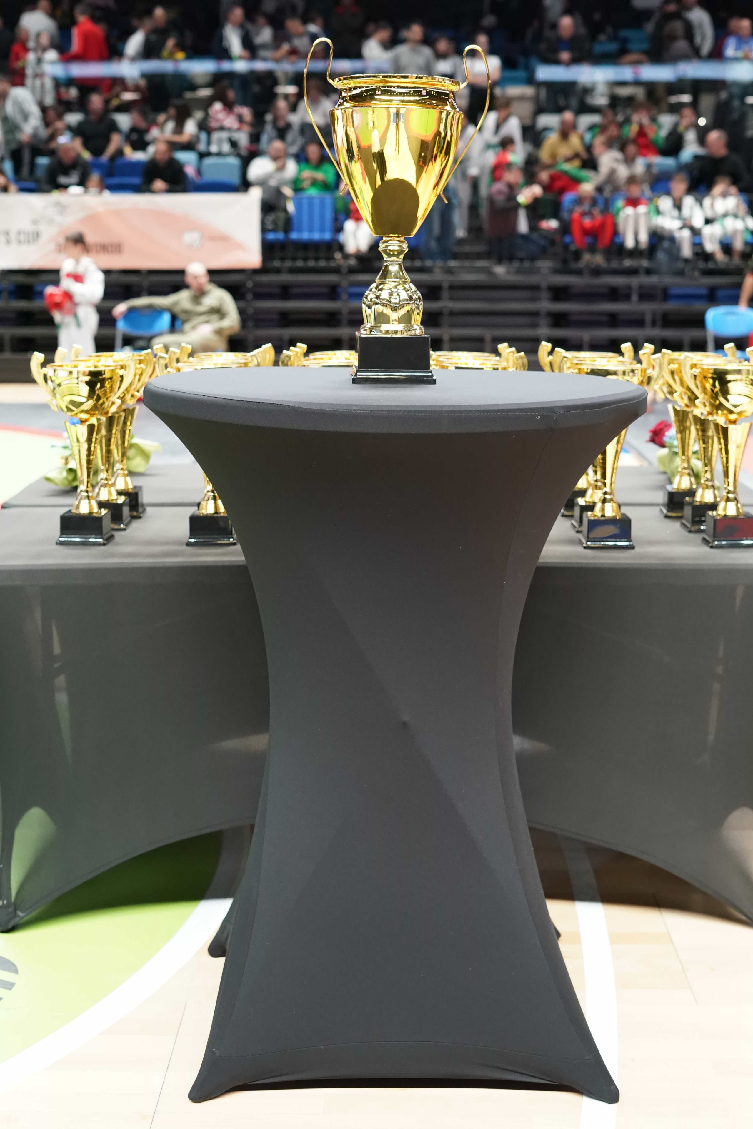 2025-12-13, ТАЕКУОНДО, Ambassadors Cup, Самоков. СПОРТНА ФОТОГРАФИЯ | ПОРТРЕТНА | РЕПОРТАЖНА