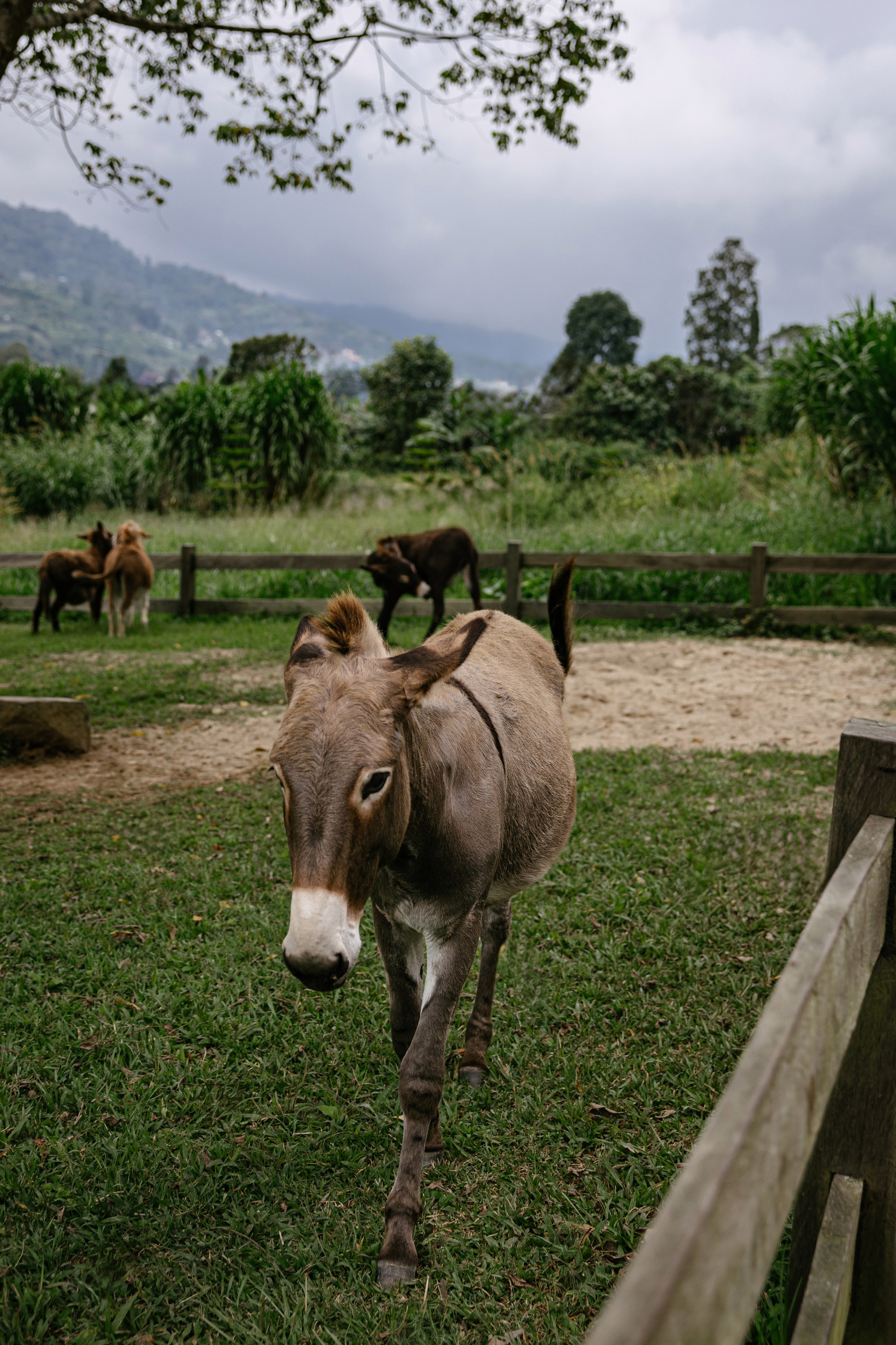 North trip. Профессиональный фотограф Нурмиева Вероника