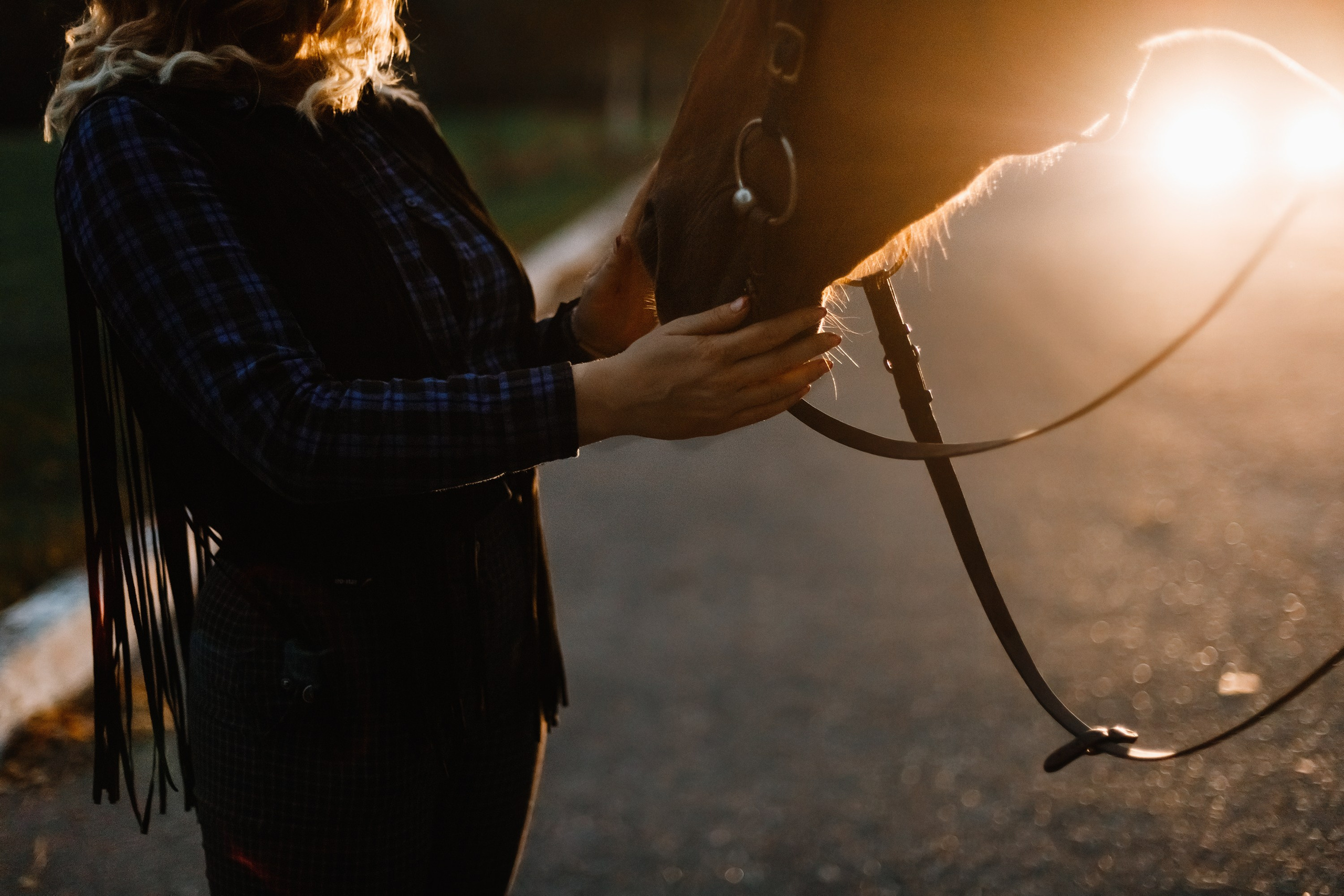 Victoria & her horses, autumn. Kaja | fotograf psów we Wrocławiu