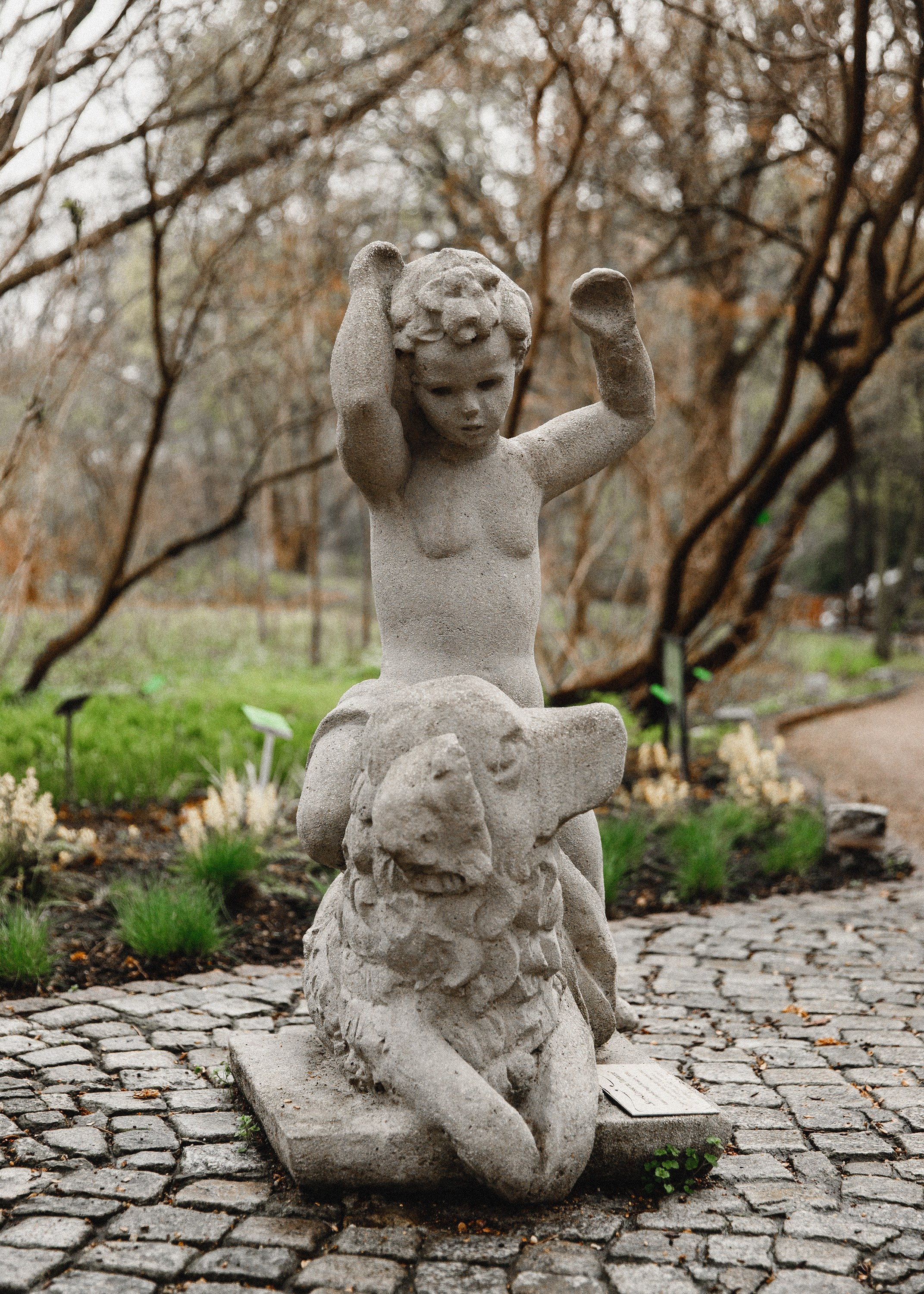 Botanical garden in Wroclaw. Kaja | fotograf we Wrocławiu | ludzie i psy