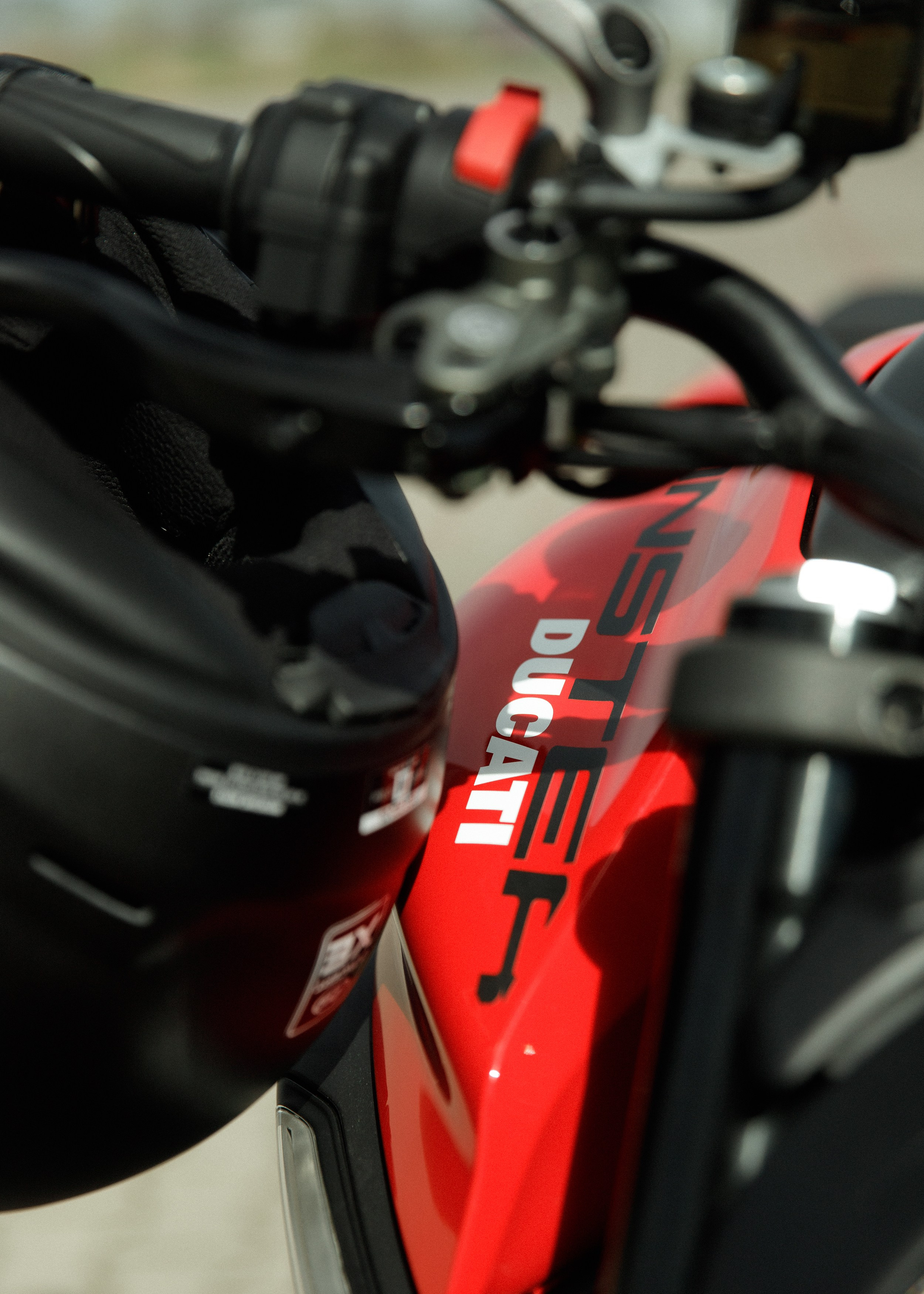 Alex. Kaja | fotograf psów we Wrocławiu