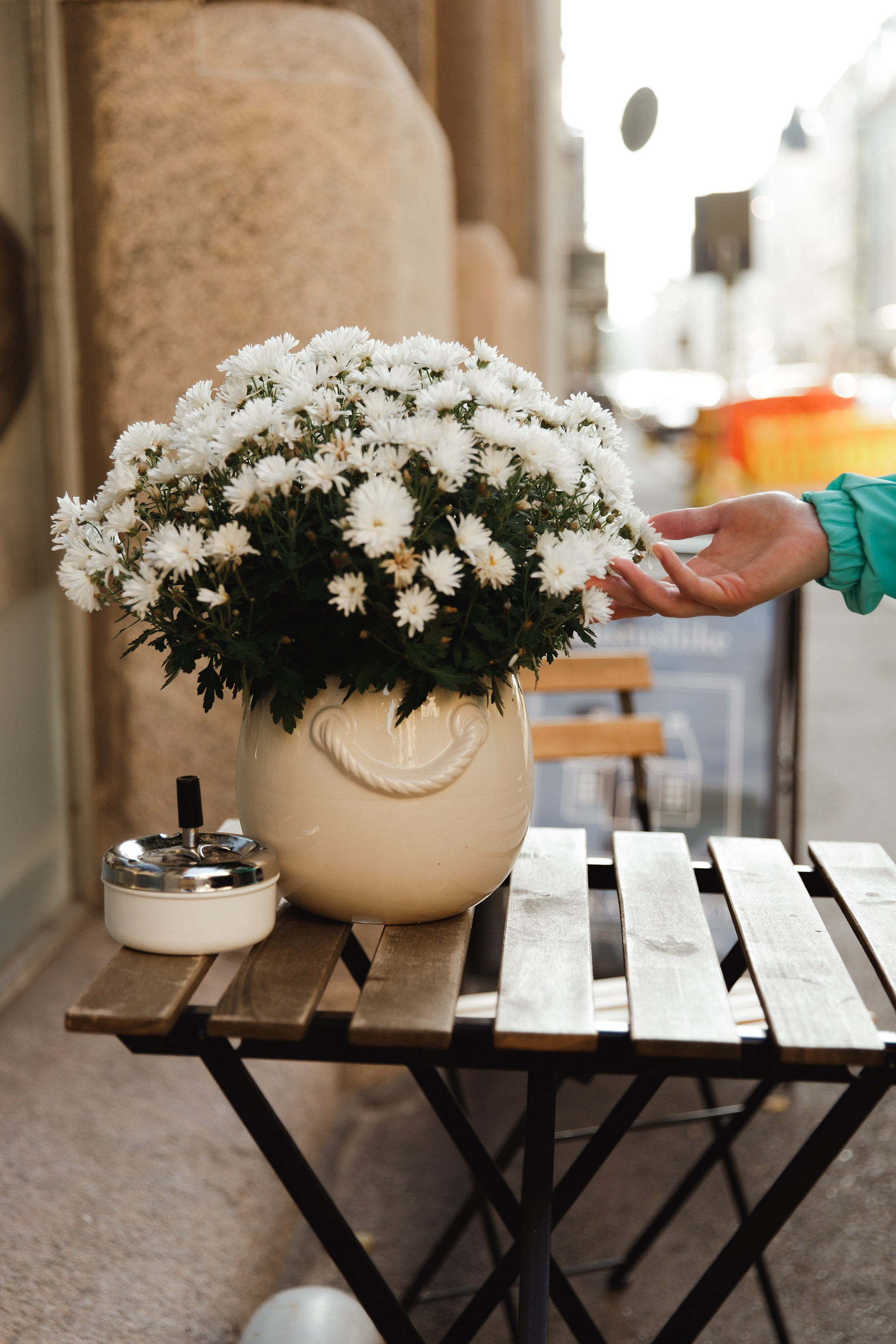 Helsinki. Kaja | fotograf psów we Wrocławiu