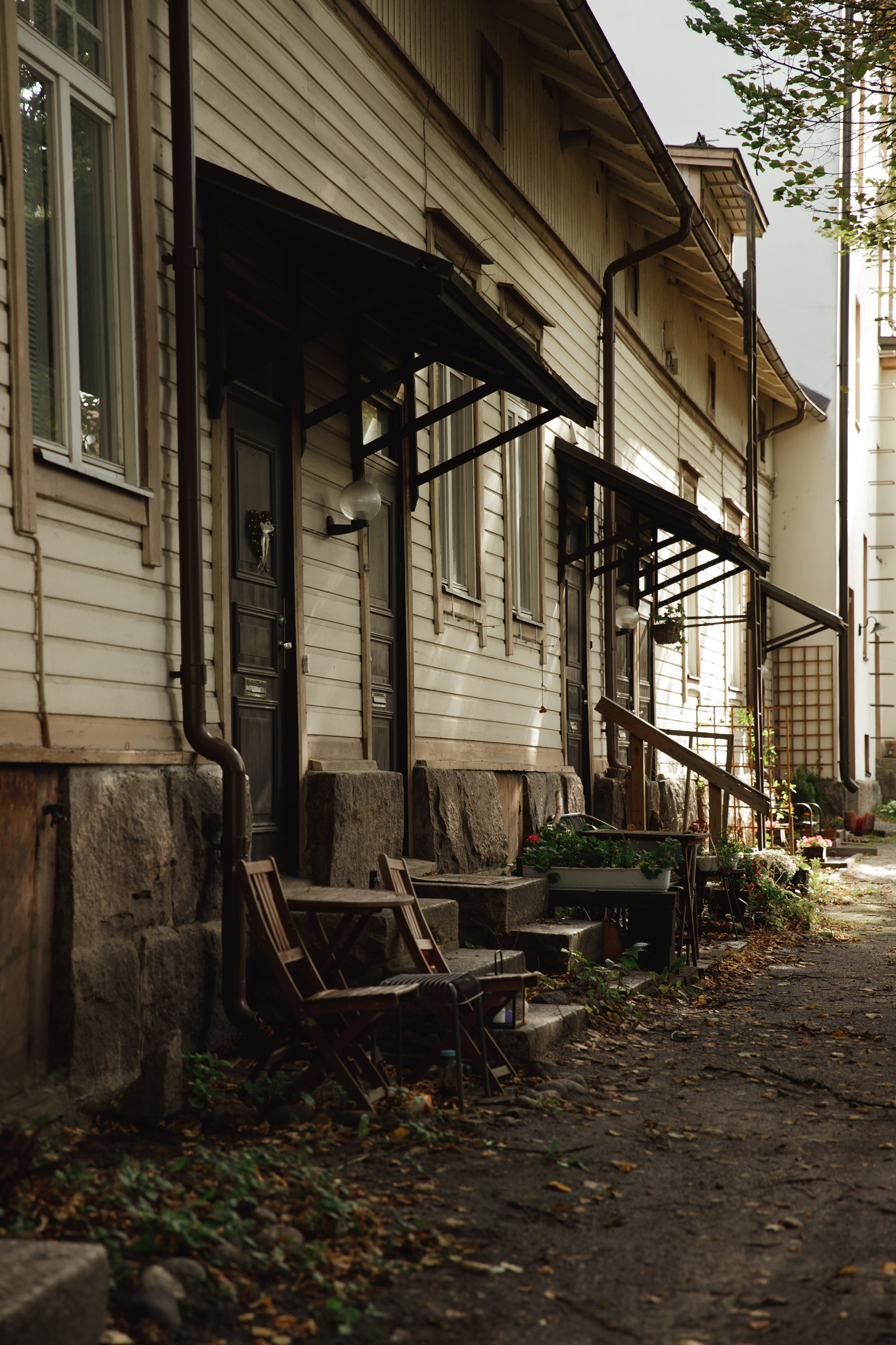 Turku. Kaja | fotograf psów we Wrocławiu