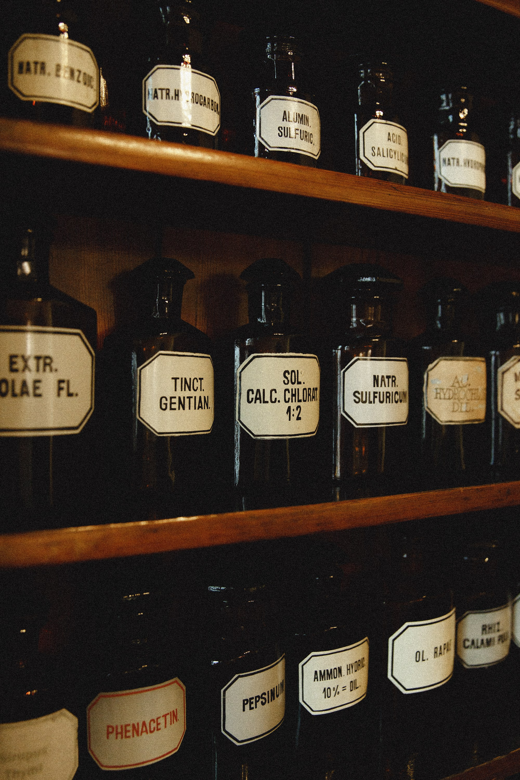 Museum of farmacy in Wroclaw. Kaja | fotograf we Wrocławiu | ludzie i psy