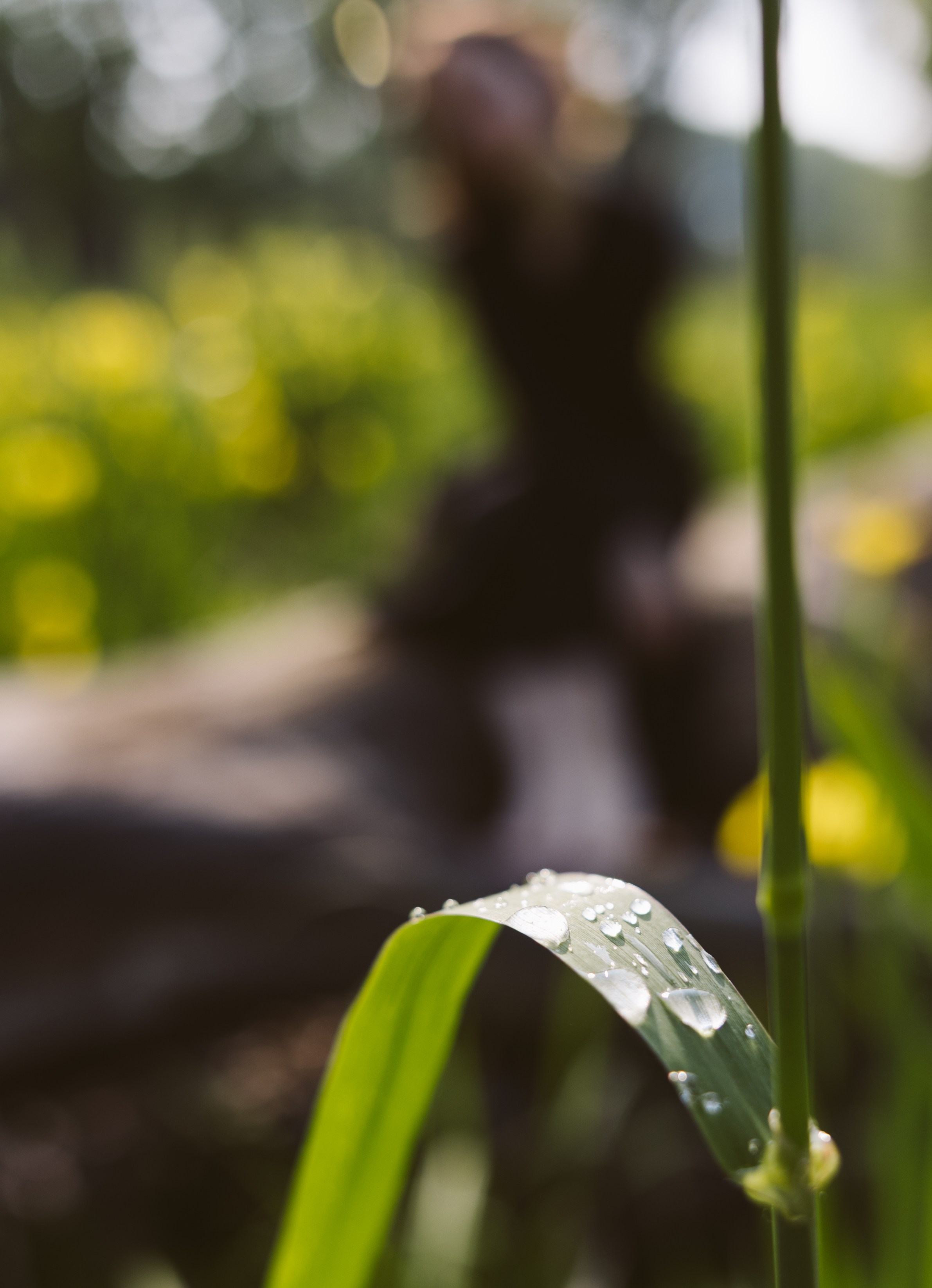 Morning lagoons for Anastasiya. Family Lifestyle Photography