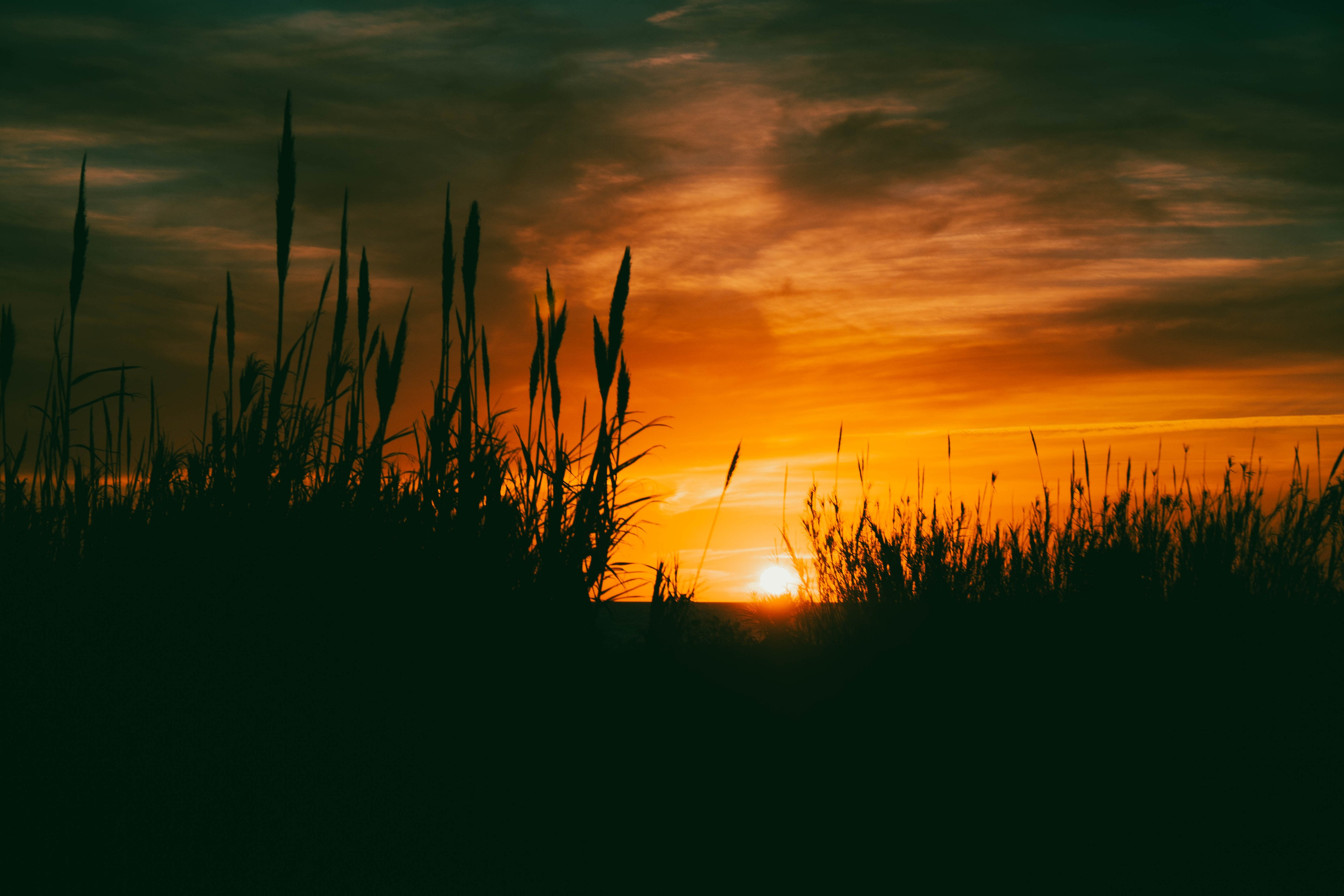 Bocetos. Alba del Norte Studio