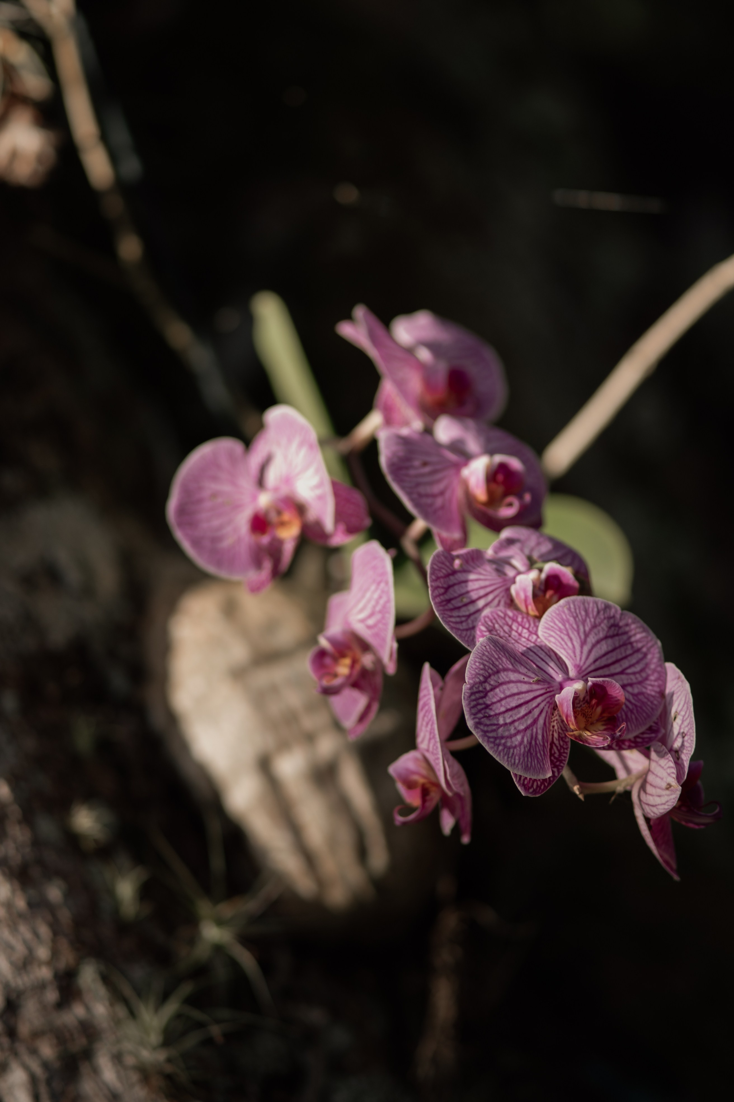 Isabella & Arthur | Vila Velha-ES. Lembrar não é só ver. É sentir de novo