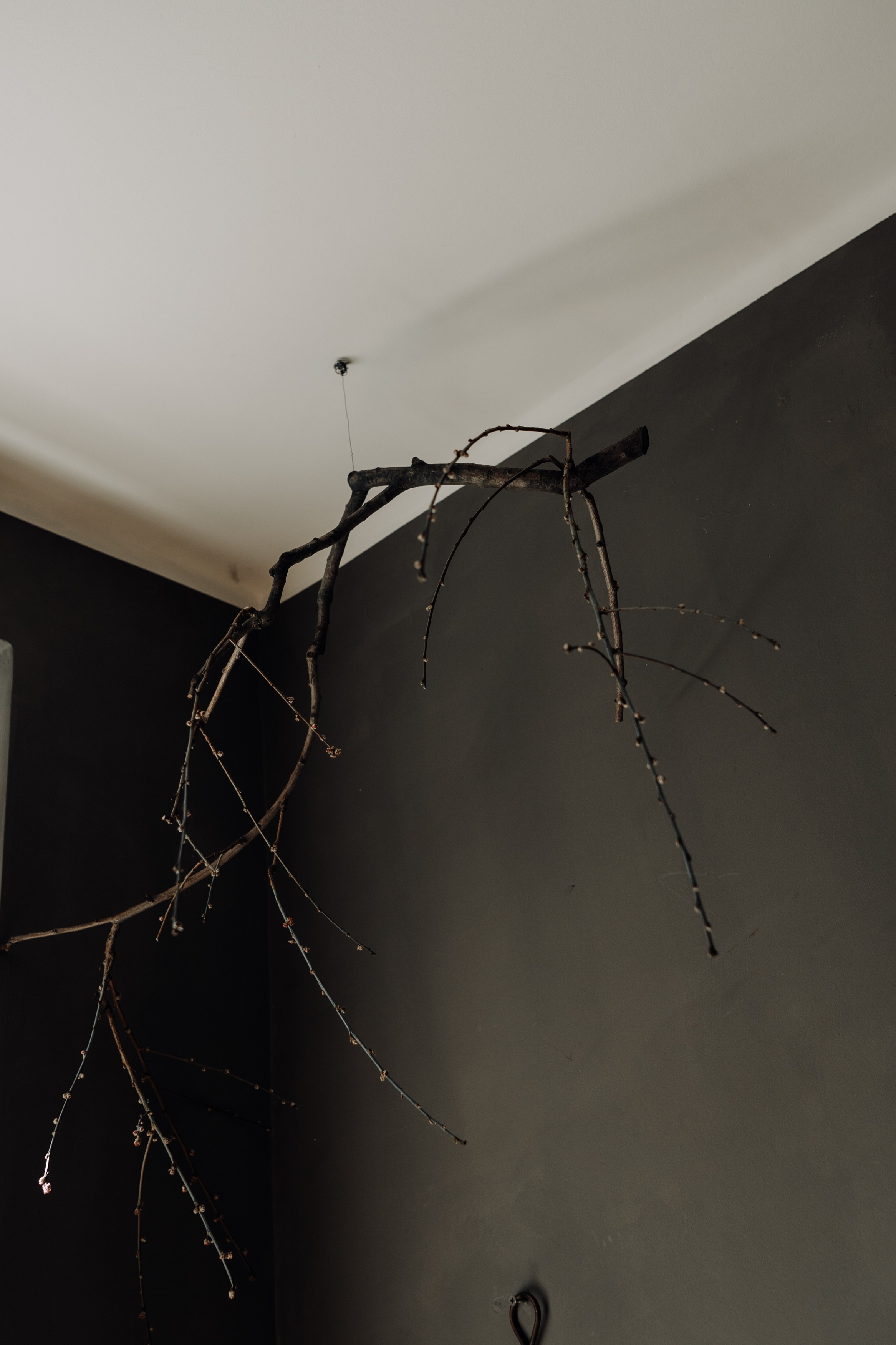 Elena. Фотограф в Праге Анна Лебедева