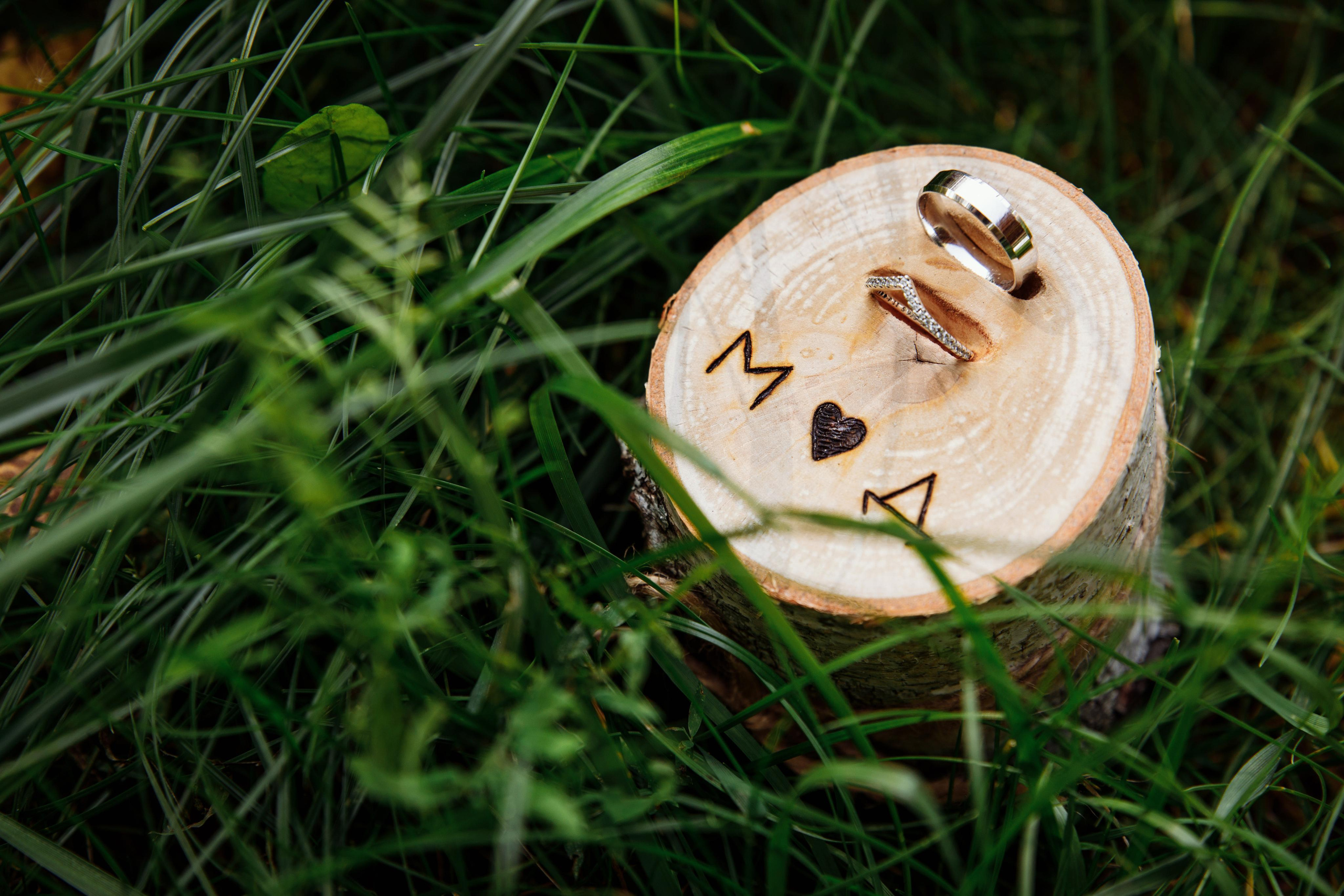 Dasha & Max. Wedding and family photographer and videographer PA, NJ, NY, DE, MD