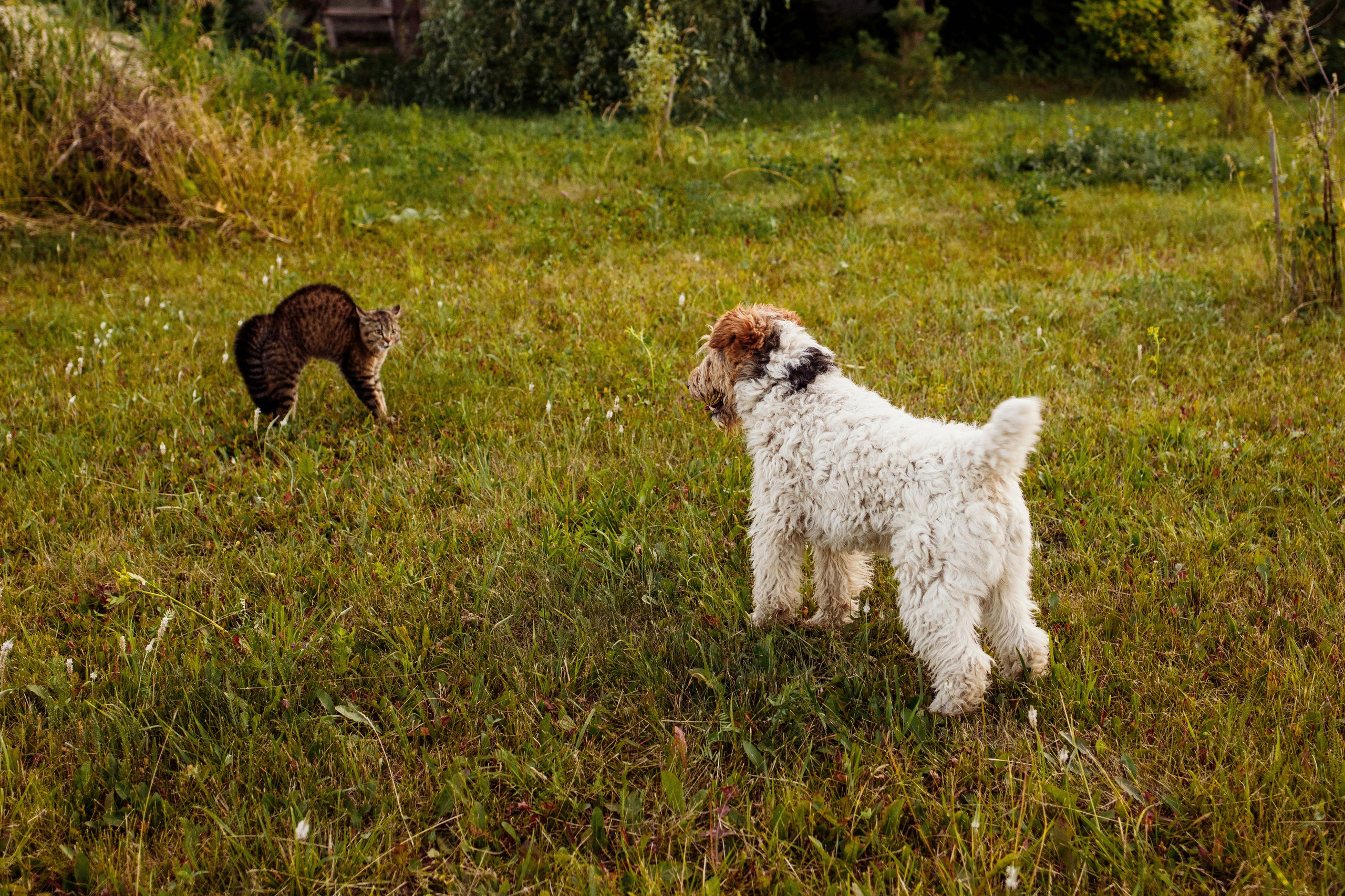 Anton, Nastya & Pasha. Nature. Wedding and family photographer and videographer PA, NJ, NY, DE, MD