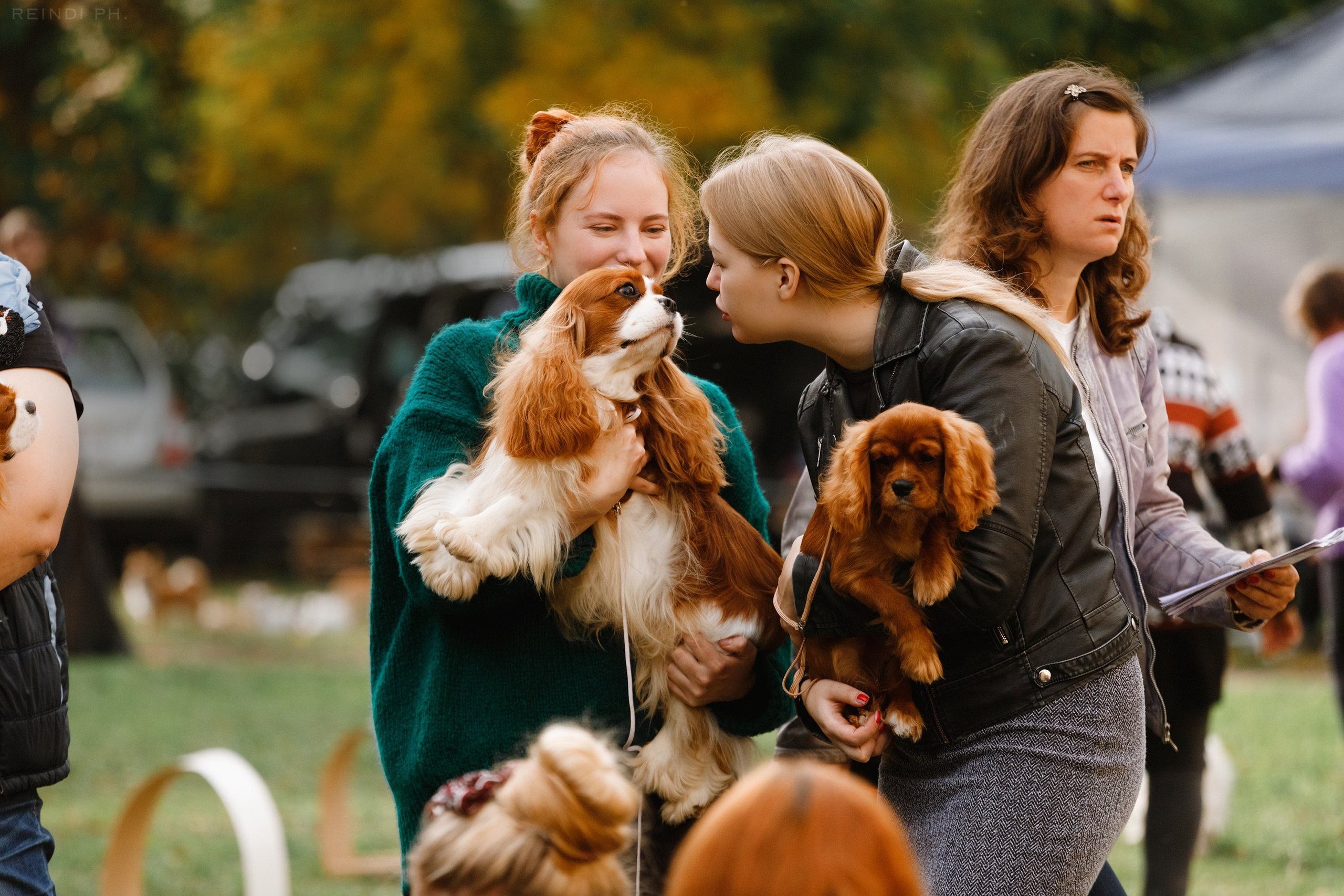 «Argus» dog show in Brest. Kaja | fotograf we Wrocławiu | ludzie i psy