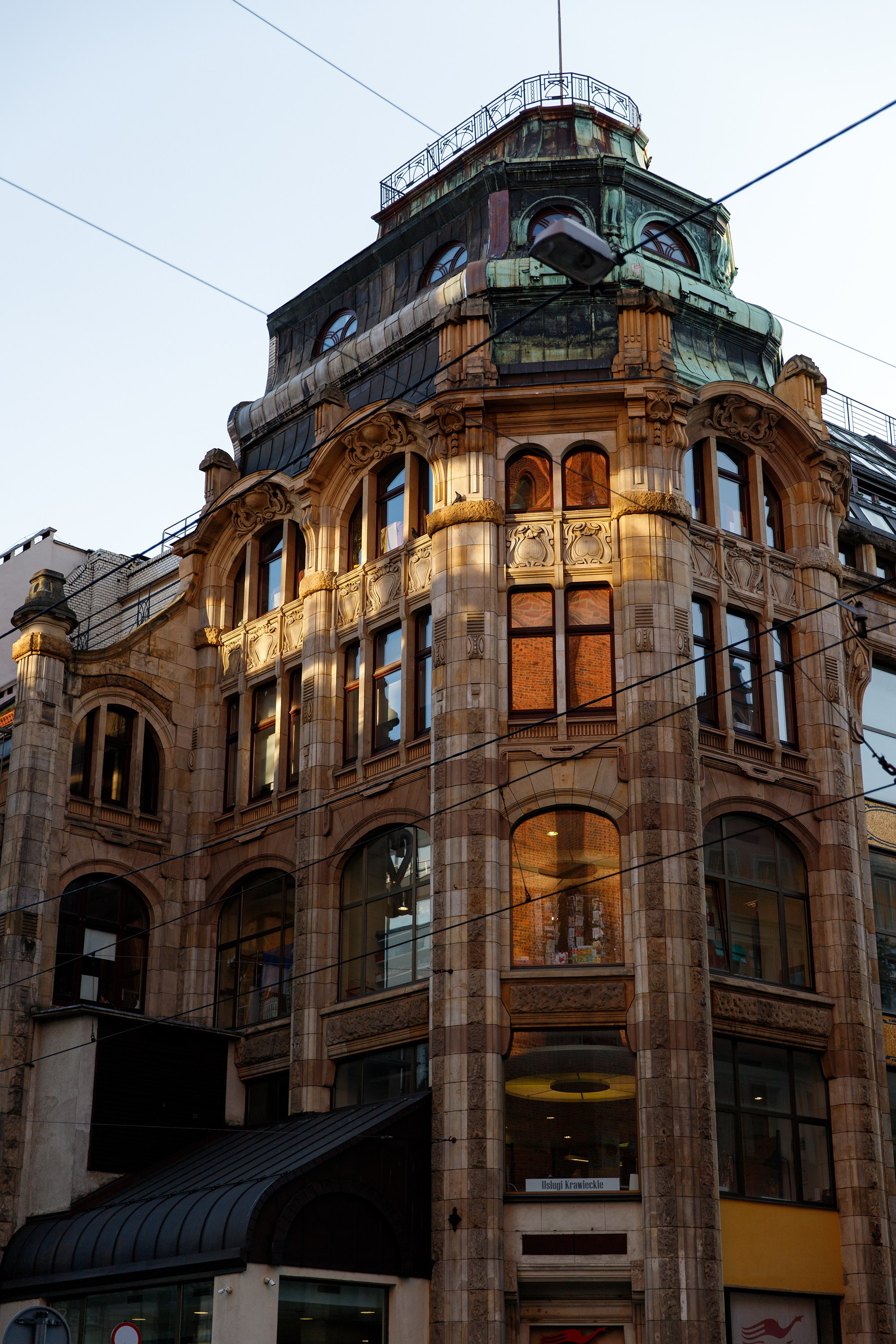 Wroclaw | the best ones. Kaja | fotograf psów we Wrocławiu