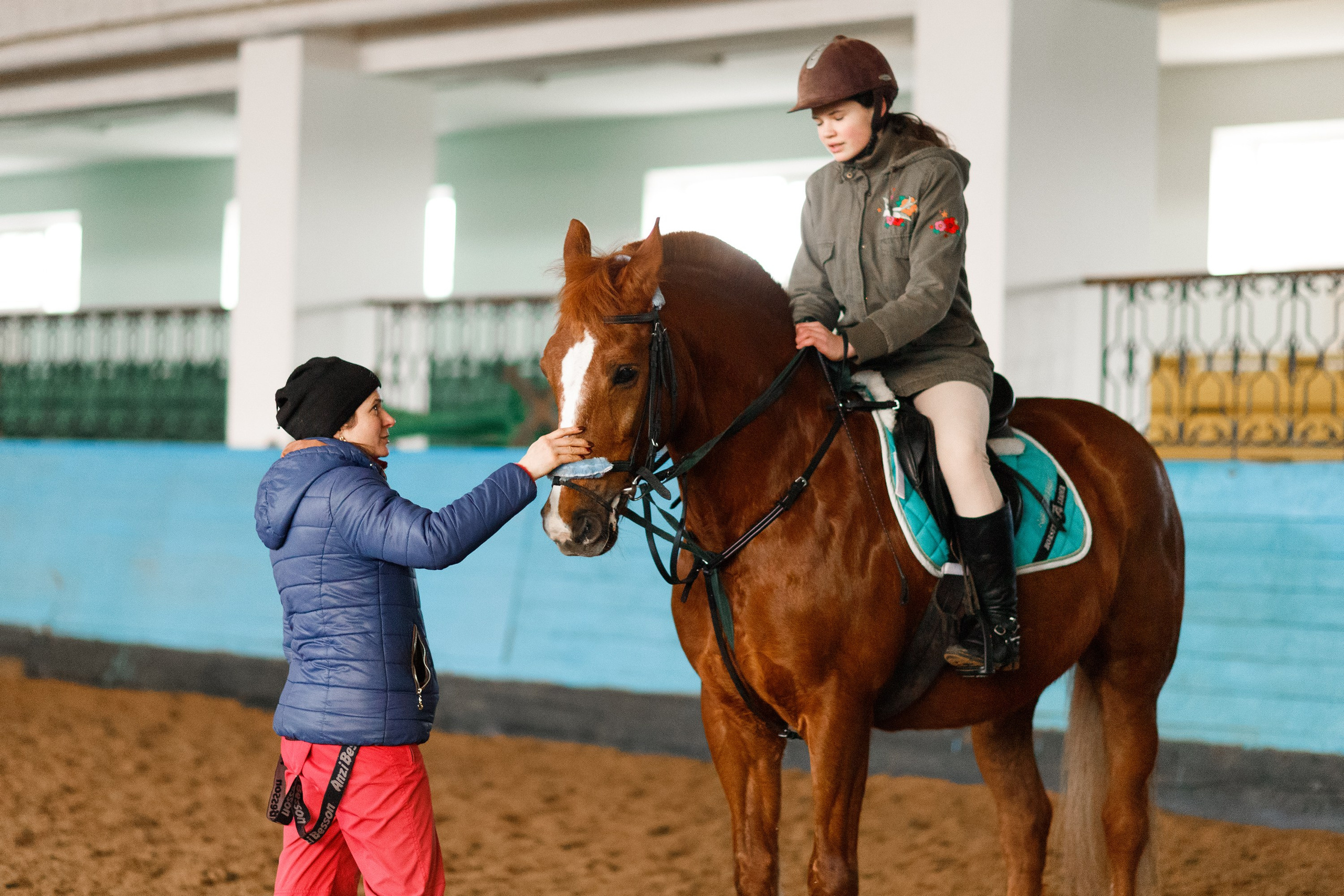 Winter show jumping in «Progress». Kaja | fotograf we Wrocławiu | ludzie i psy