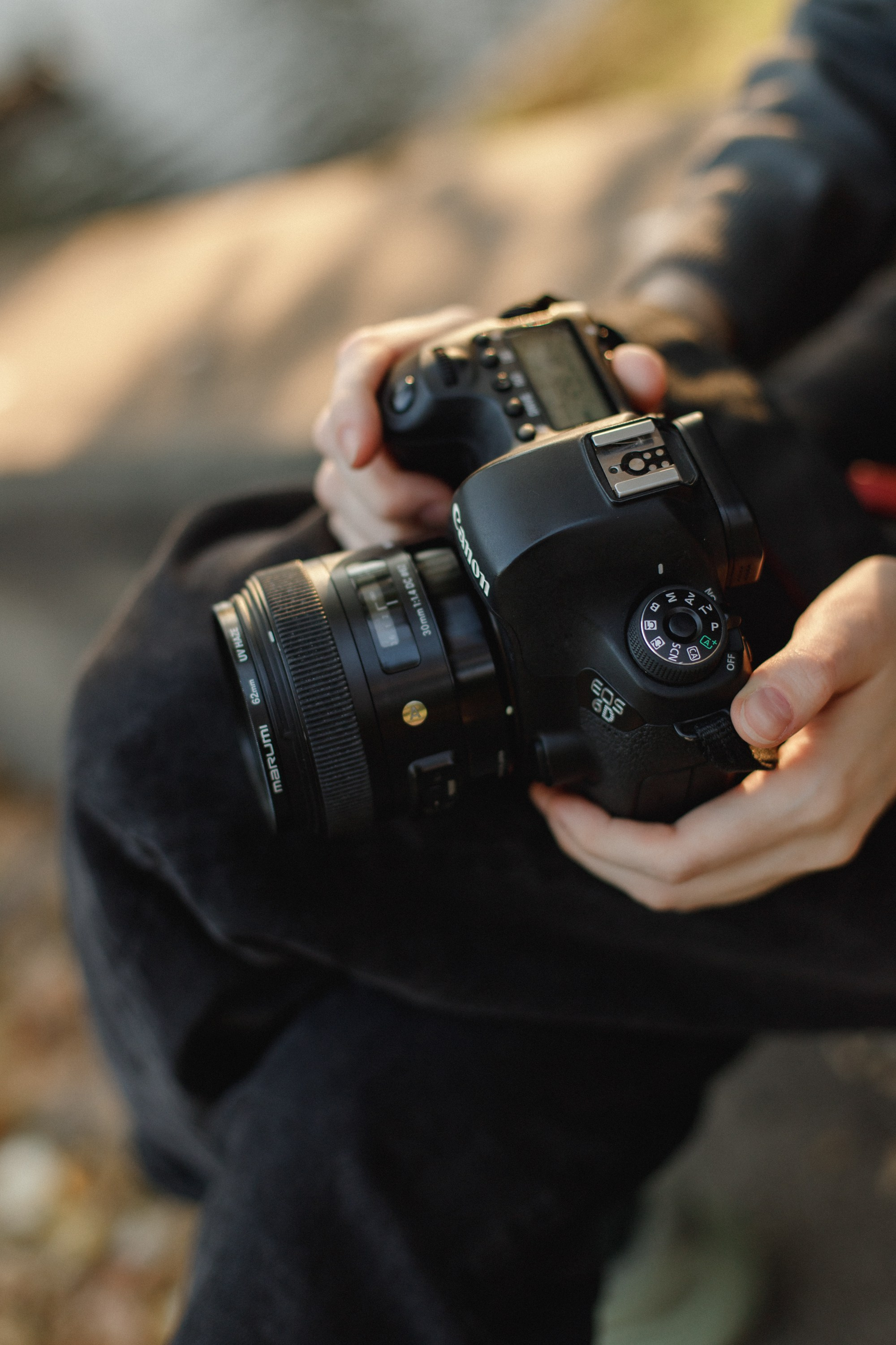 Nastya. Kaja | fotograf psów we Wrocławiu