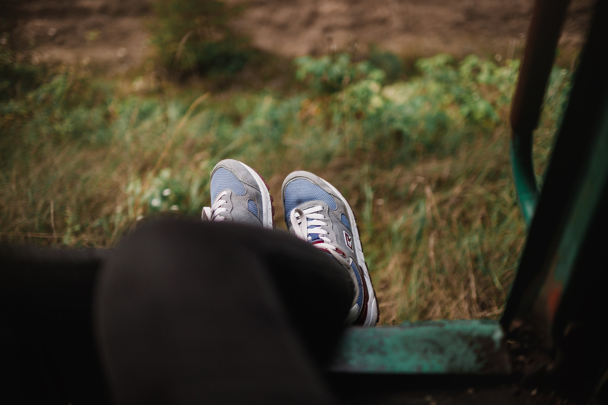 Narrow-gauge railway trip. Kaja | fotograf psów we Wrocławiu