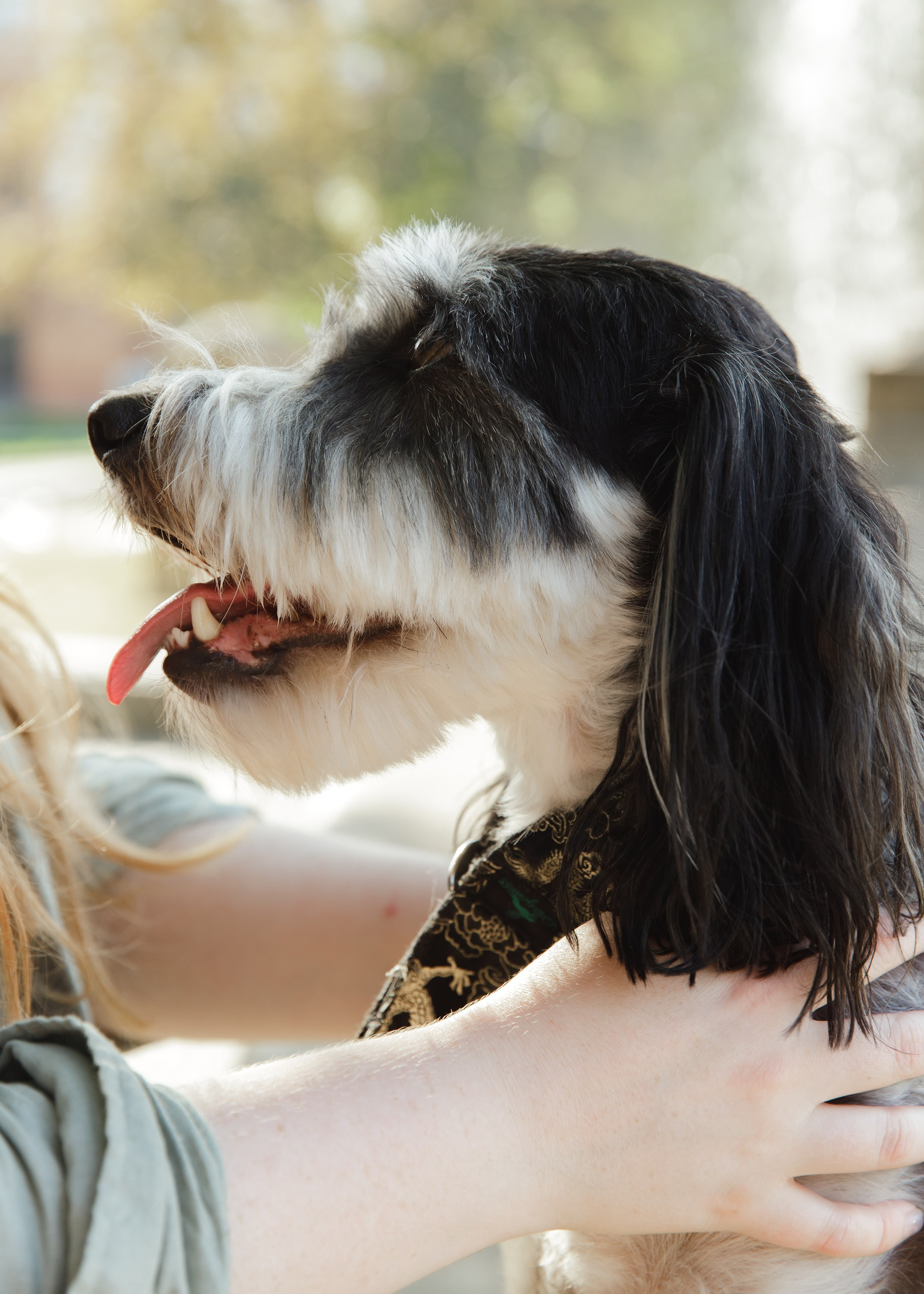 Lera & Flora. Kaja | fotograf we Wrocławiu | ludzie i psy