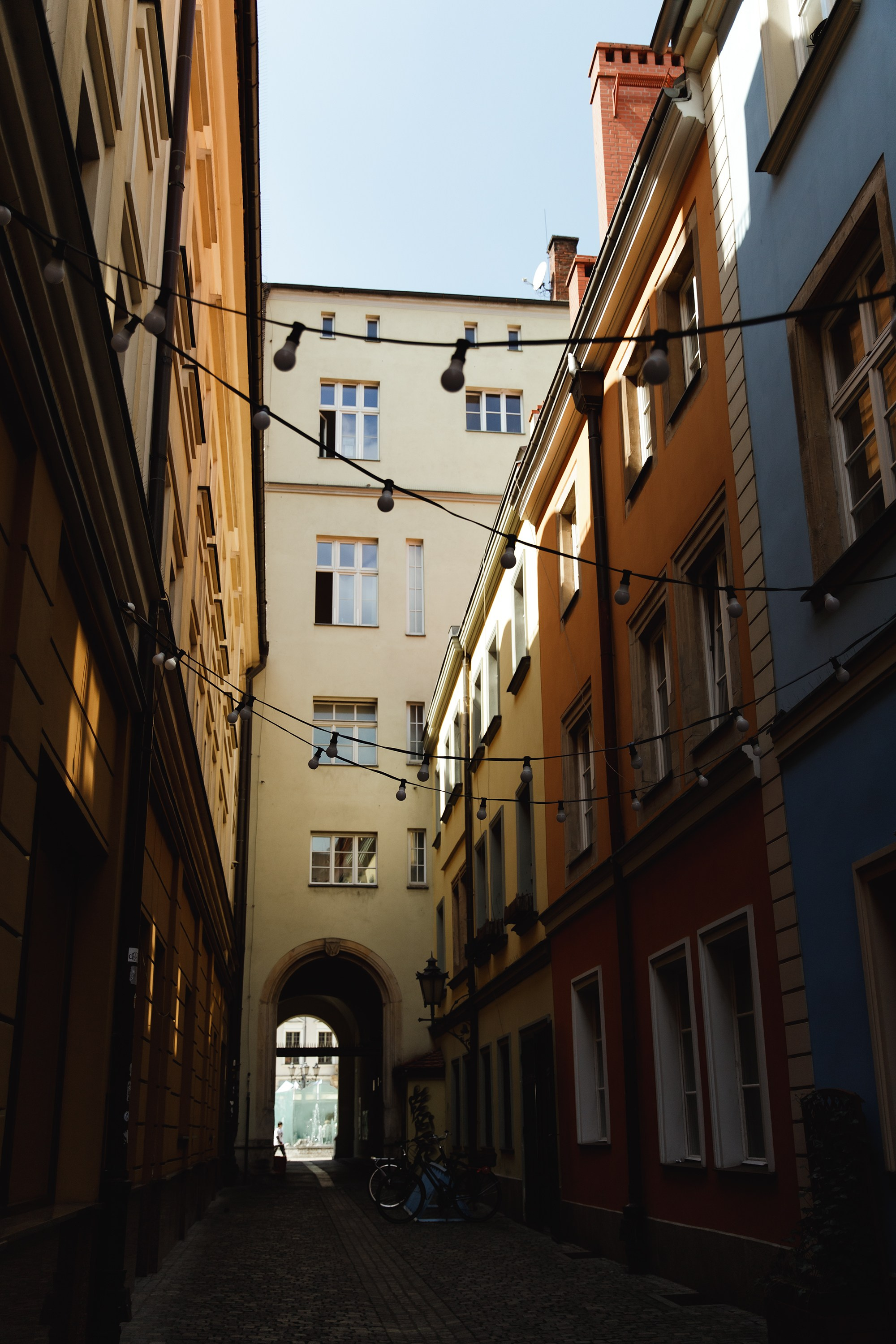 Wroclaw | the best ones. Kaja | fotograf psów we Wrocławiu