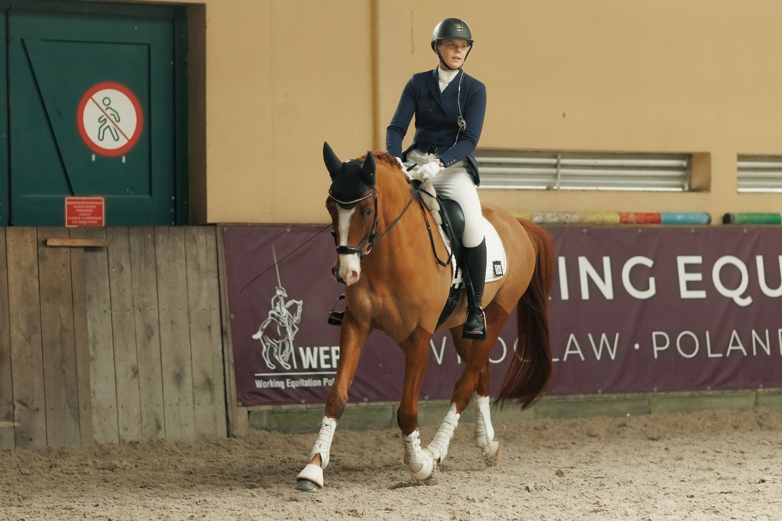 Partynice dressage \ feb'25. Kaja | fotograf we Wrocławiu | ludzie i psy