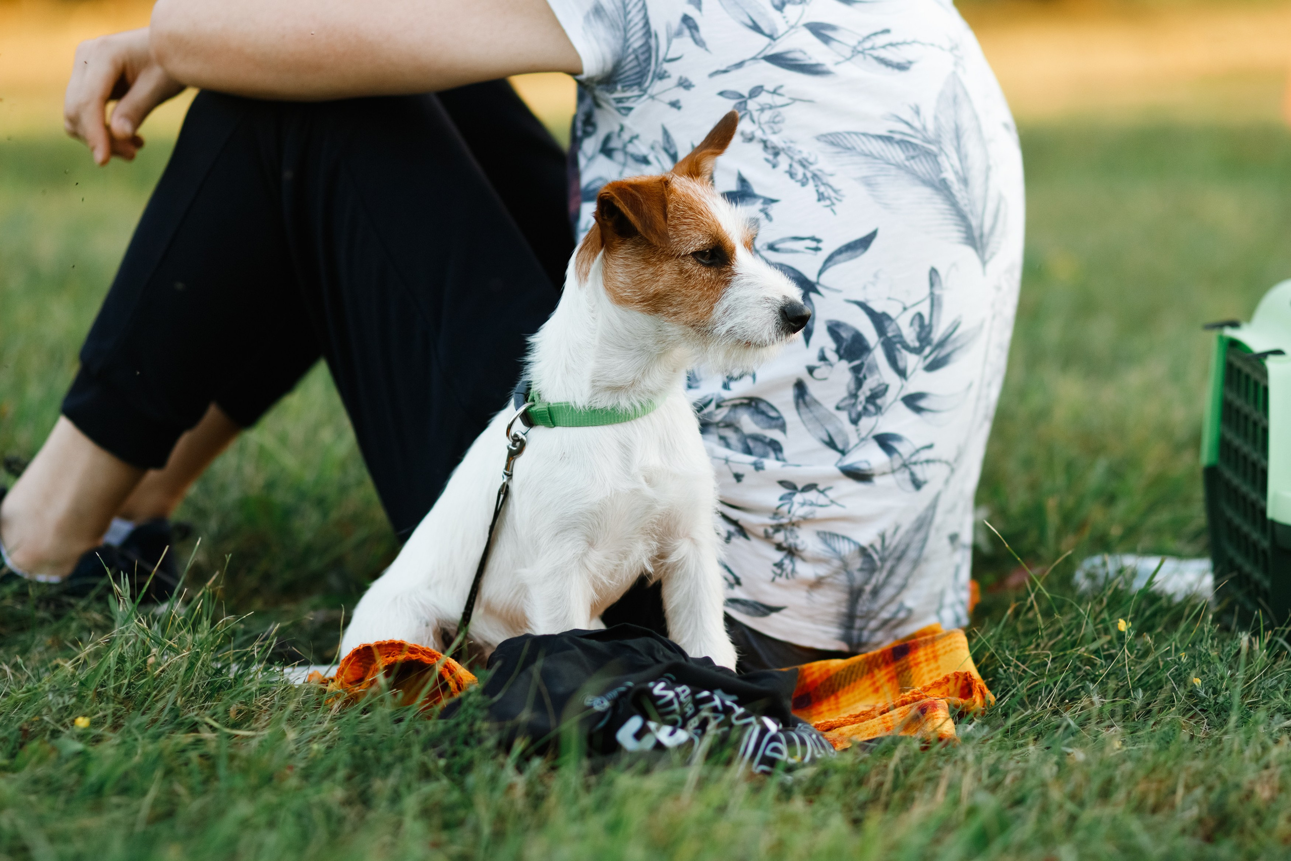 Frisbee workshop of Darya Lukina. Kaja | fotograf we Wrocławiu | ludzie i psy