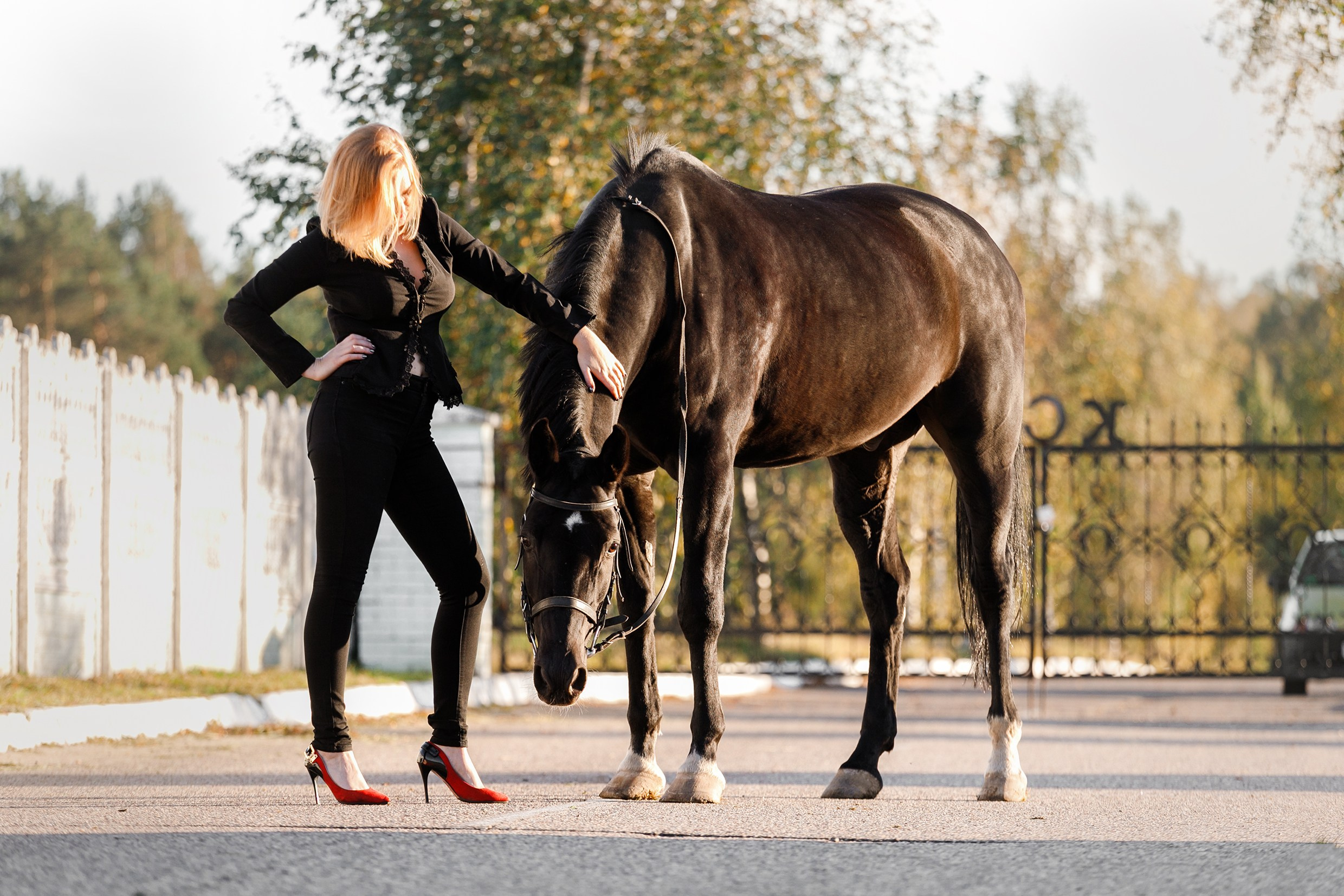 Pegas & Maximus | portrait shooting. Kaja | fotograf we Wrocławiu | ludzie i psy