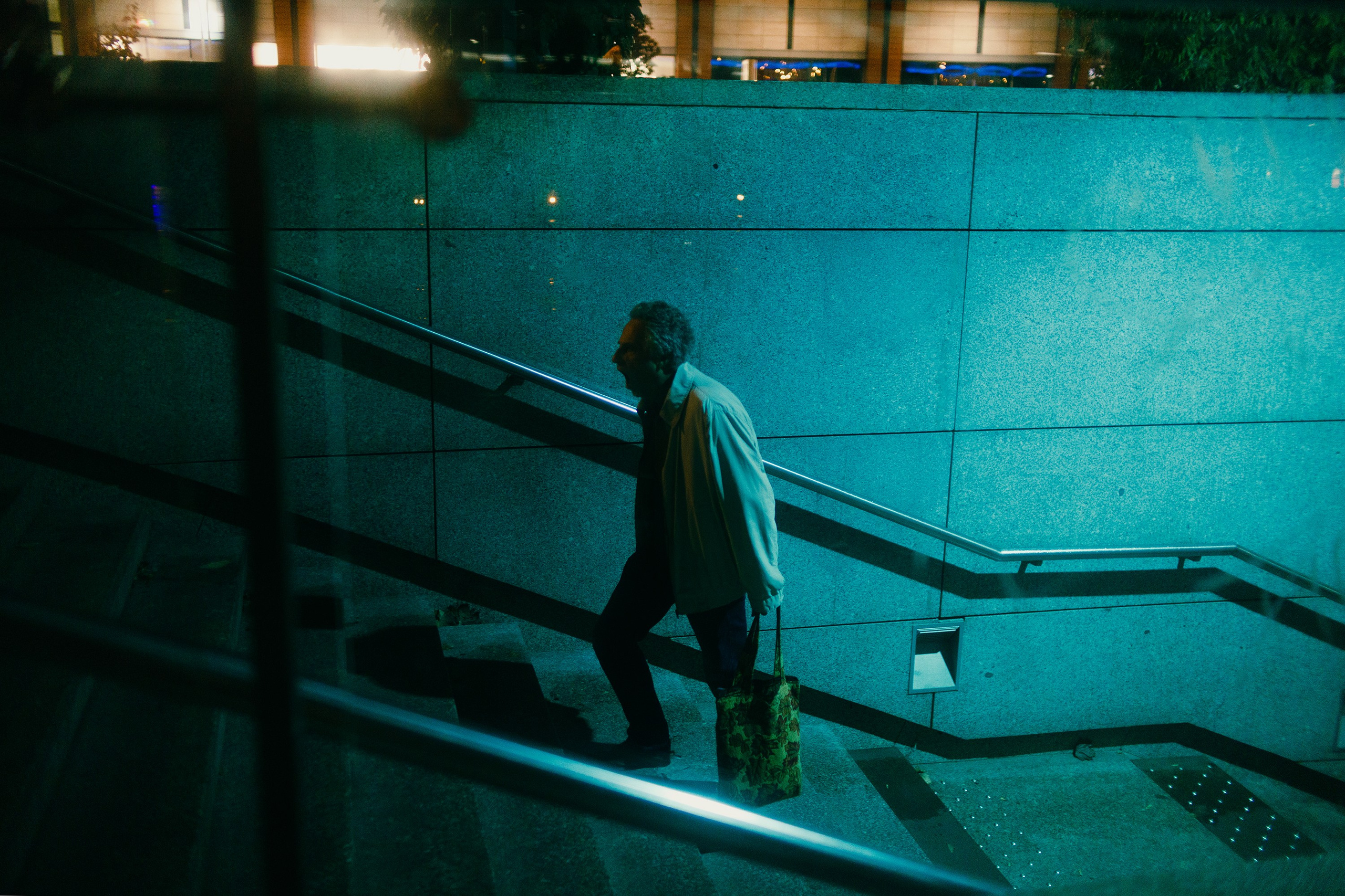 Night rainy Wroclaw. Kaja | fotograf psów we Wrocławiu